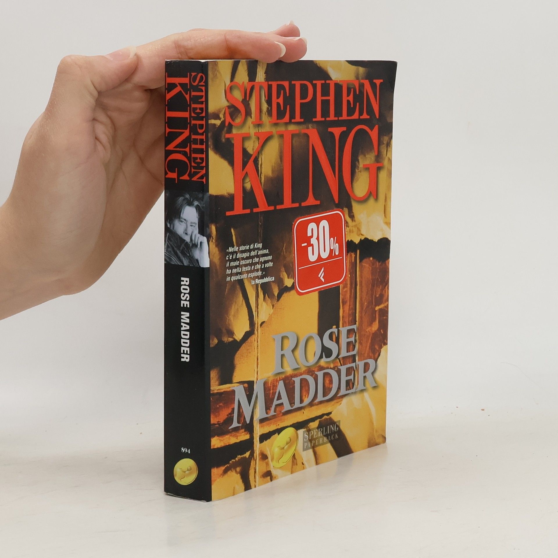 Stephen King Rose Madder