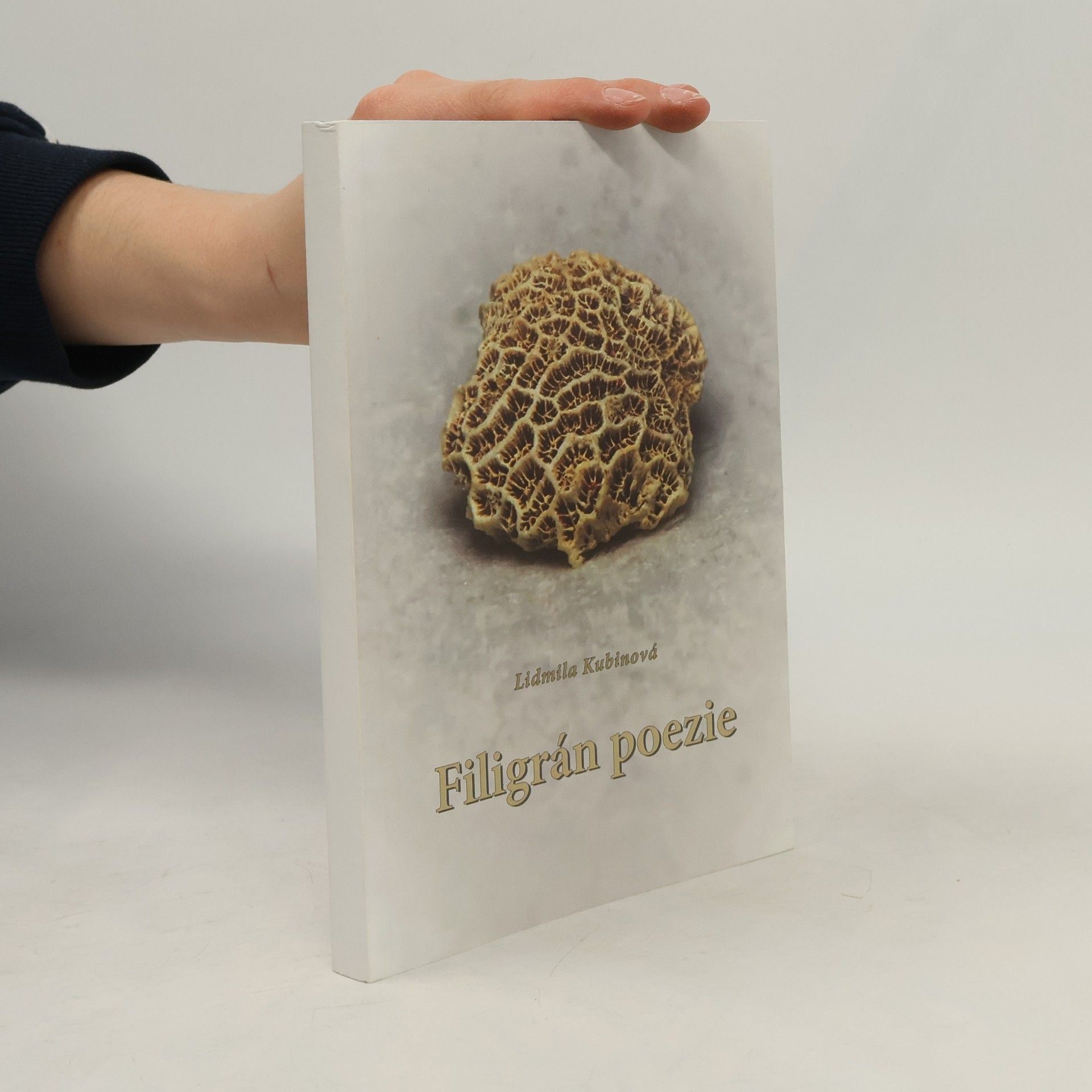 Lidmila Kubinová Filigrán poezie