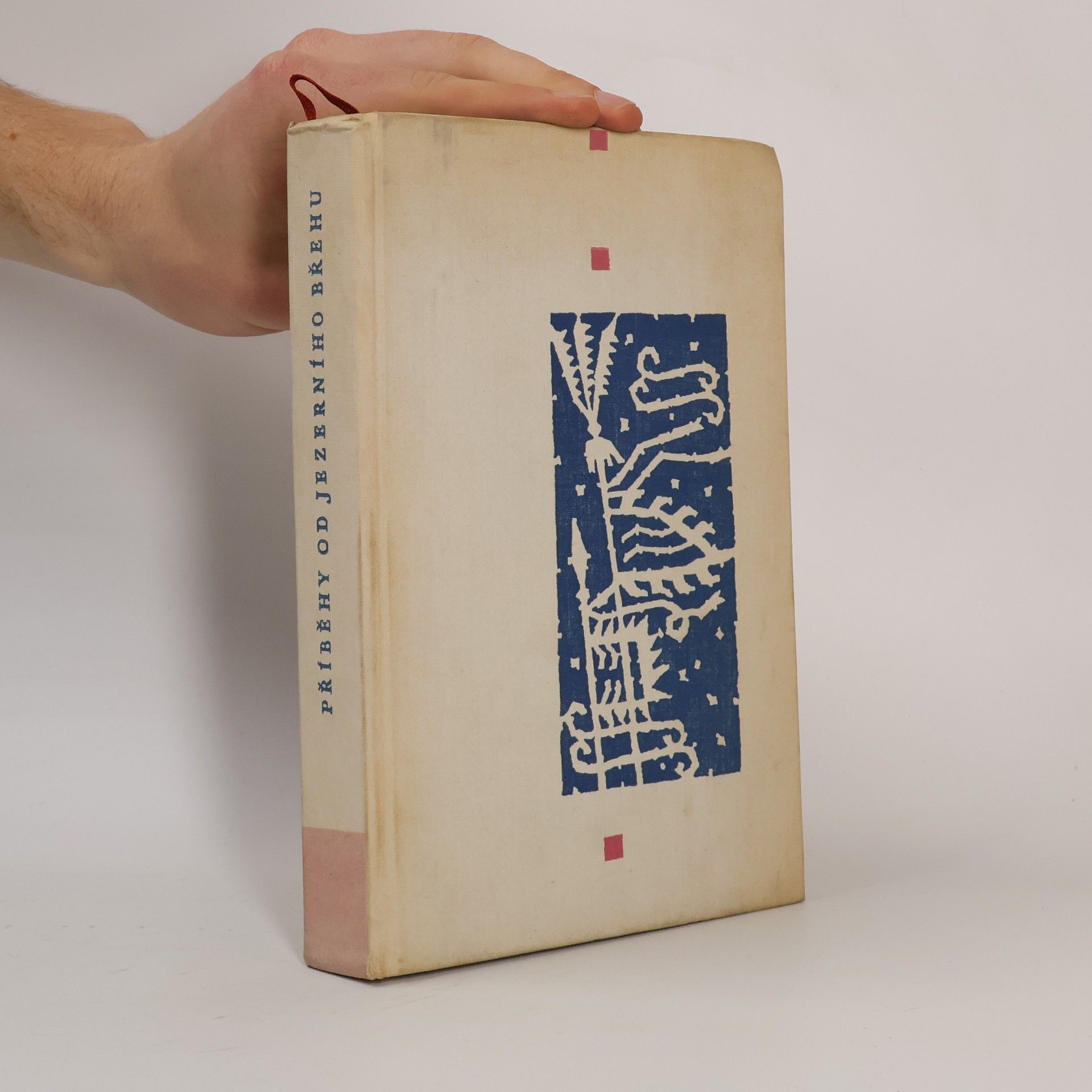 Kolektiv autorů Příběhy od jezerního břehu