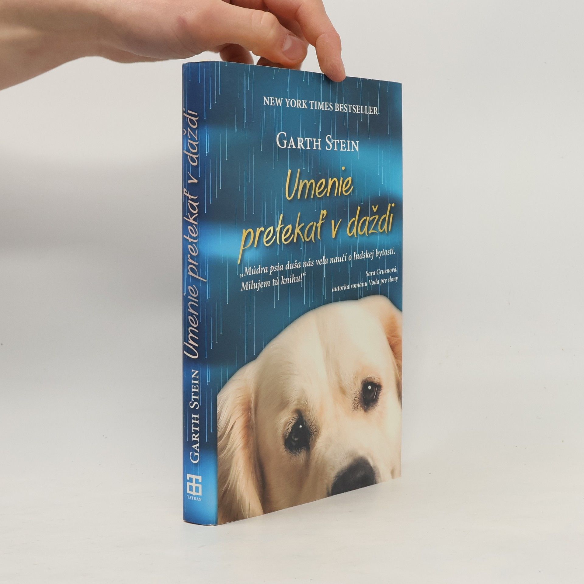 Garth Stein Umenie pretekať v daždi