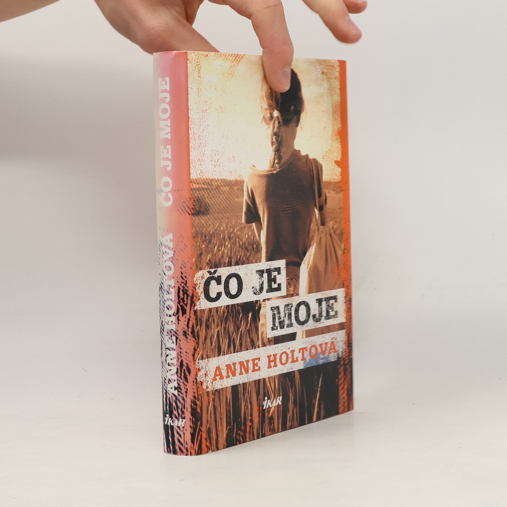 Anne Holt Čo je moje