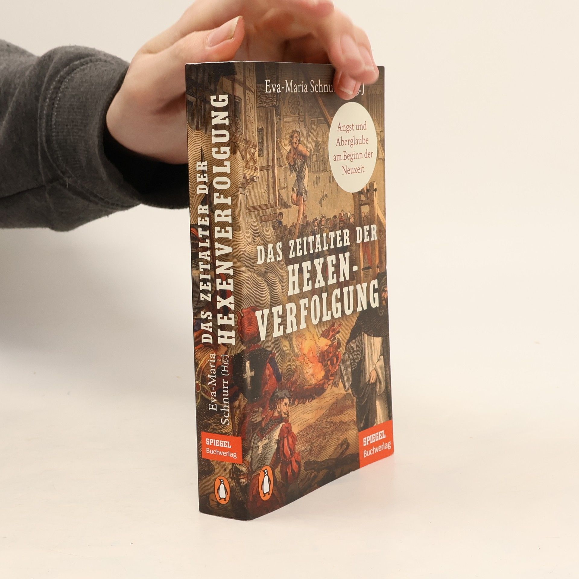 Eva-Maria Schnurr Das Zeitalter der Hexenverfolgung