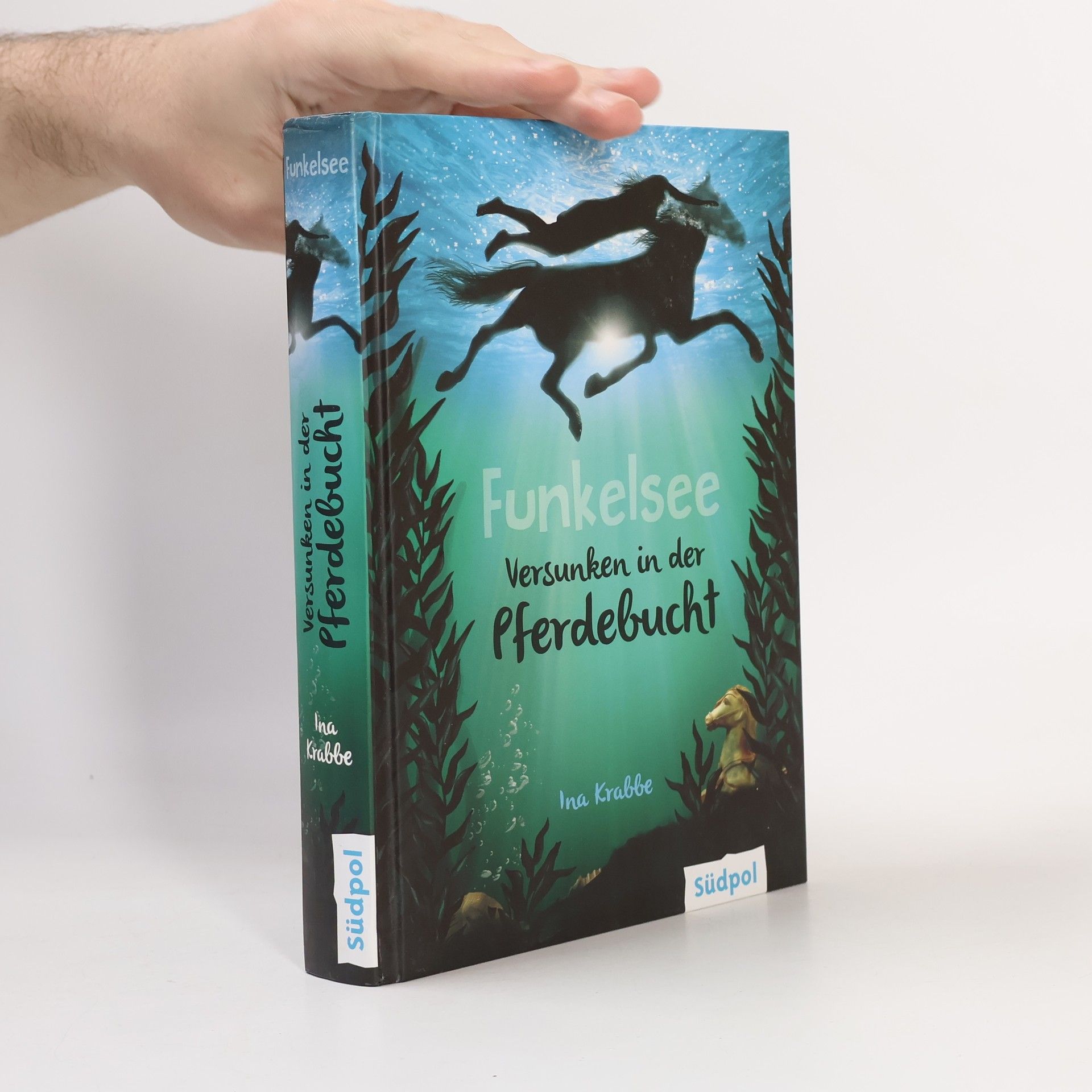 Funkelsee - versunken in der Pferdebucht