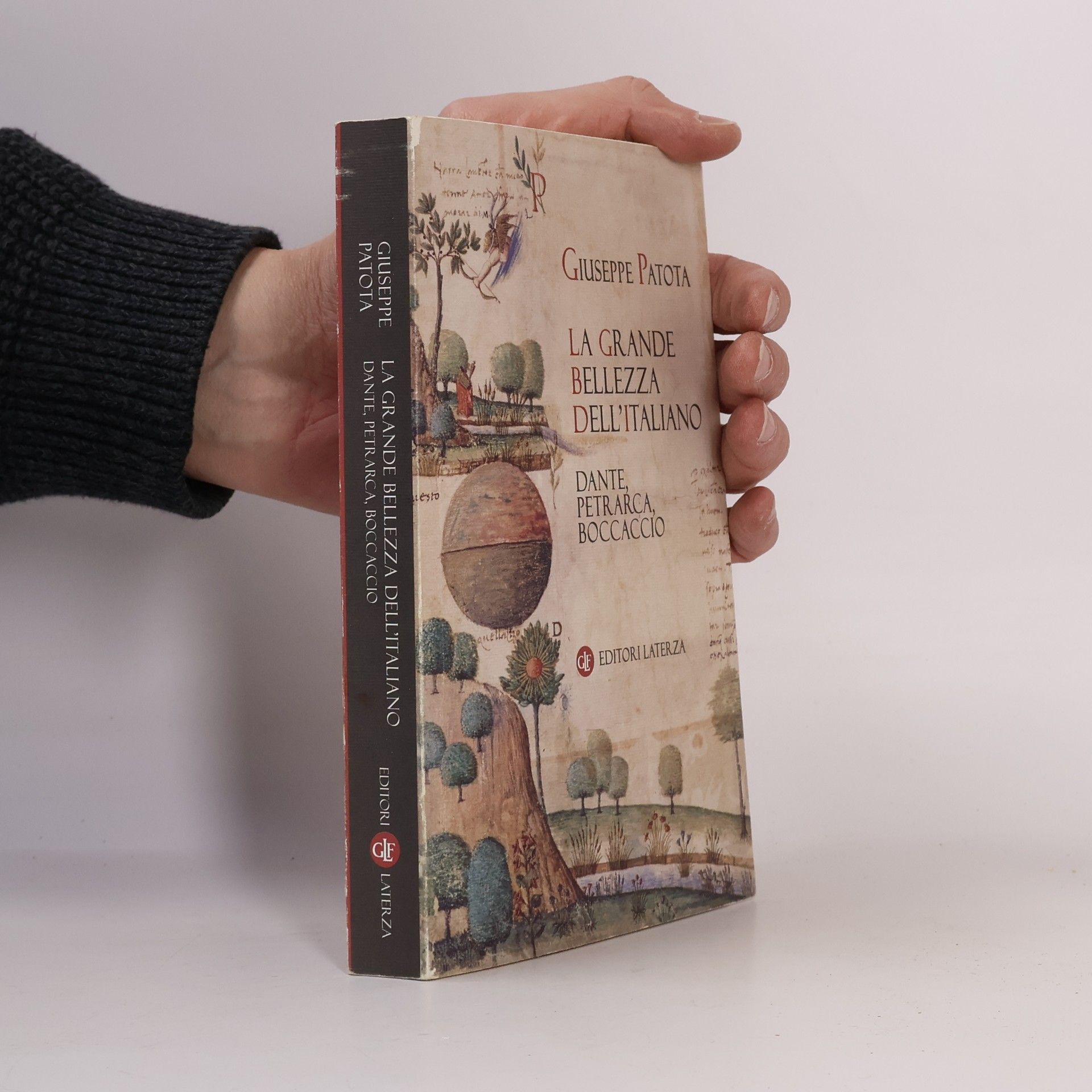 Giuseppe Patota La grande bellezza dell'italiano
