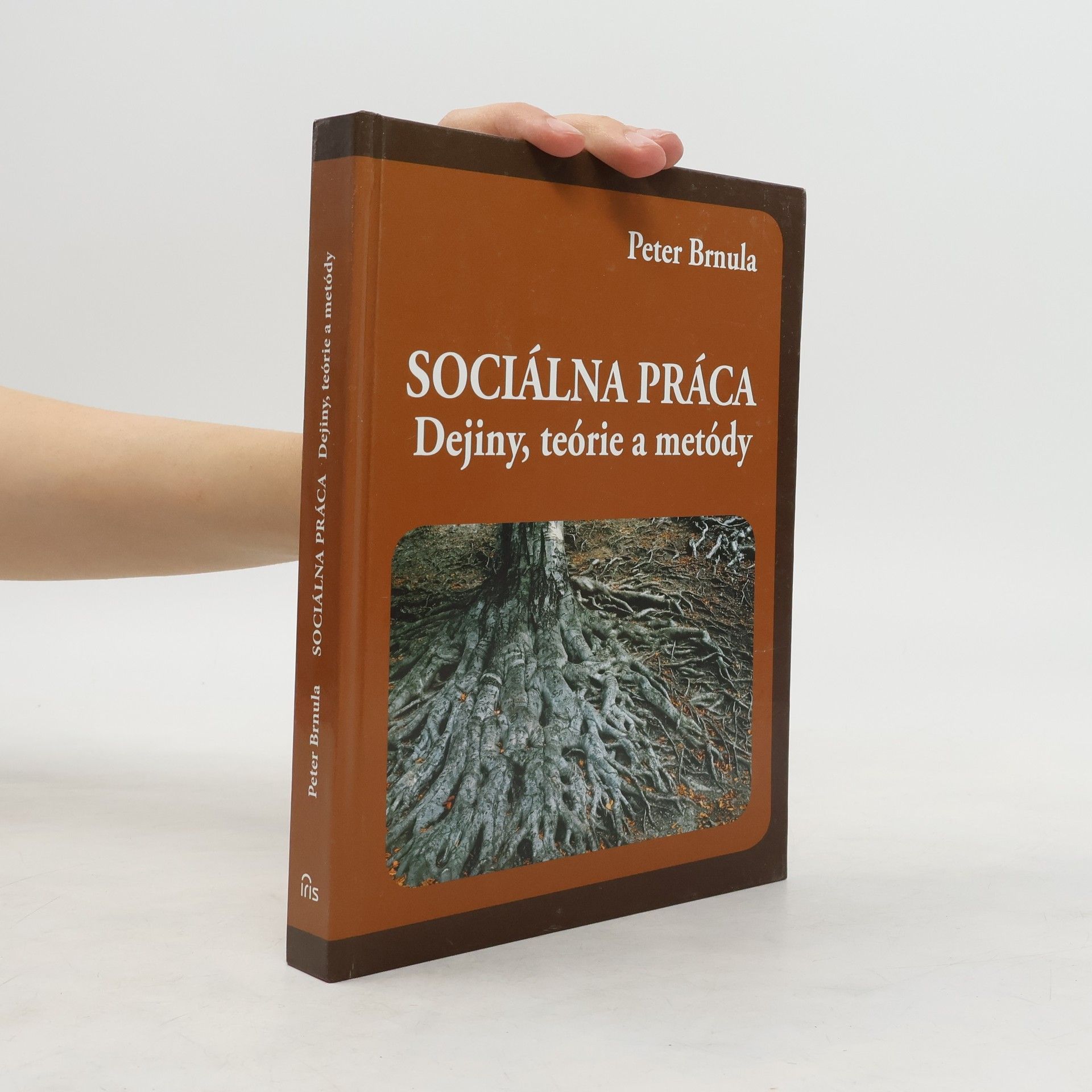 Peter Brnula Sociálna práca