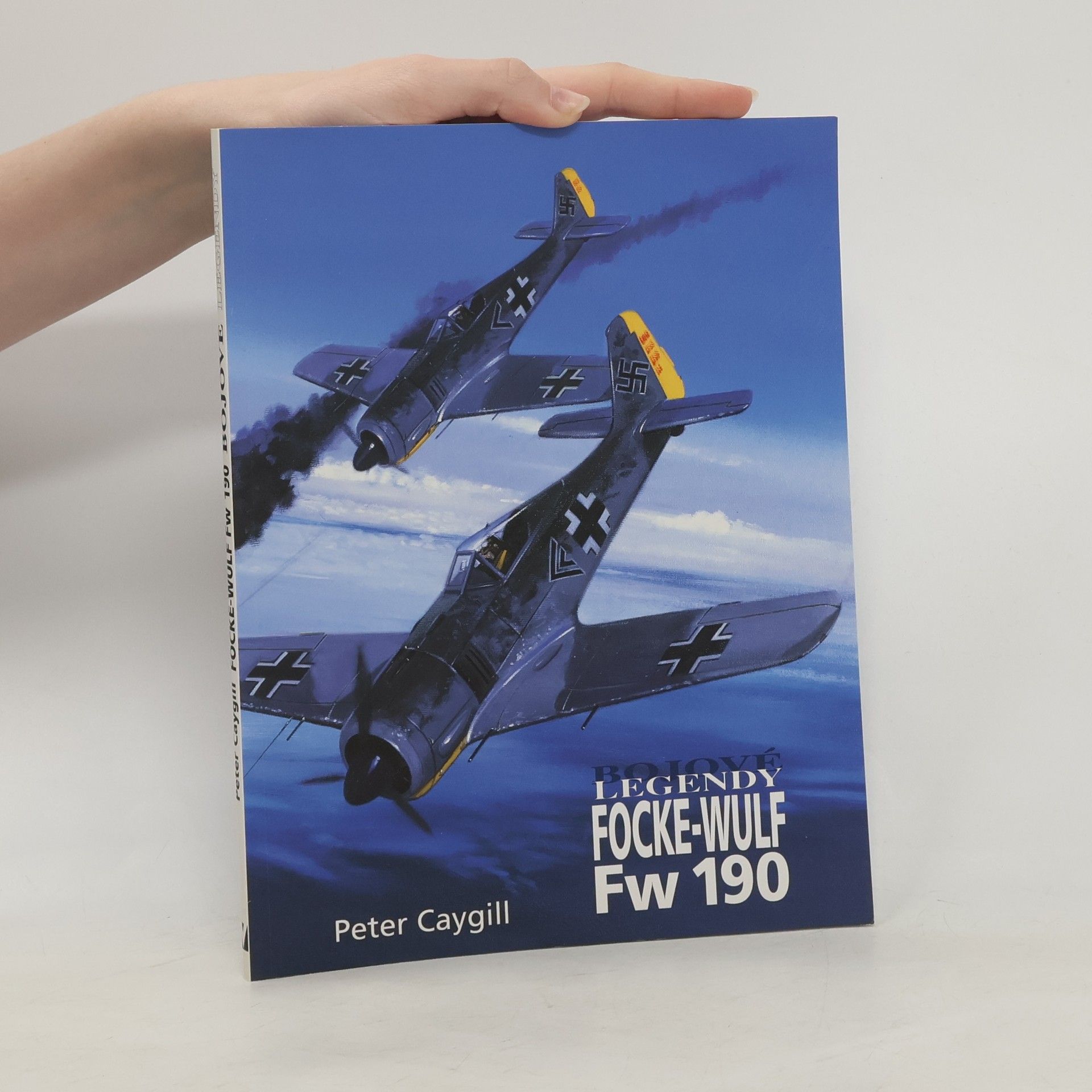 Peter Caygill Focke-Wulf Fw 190