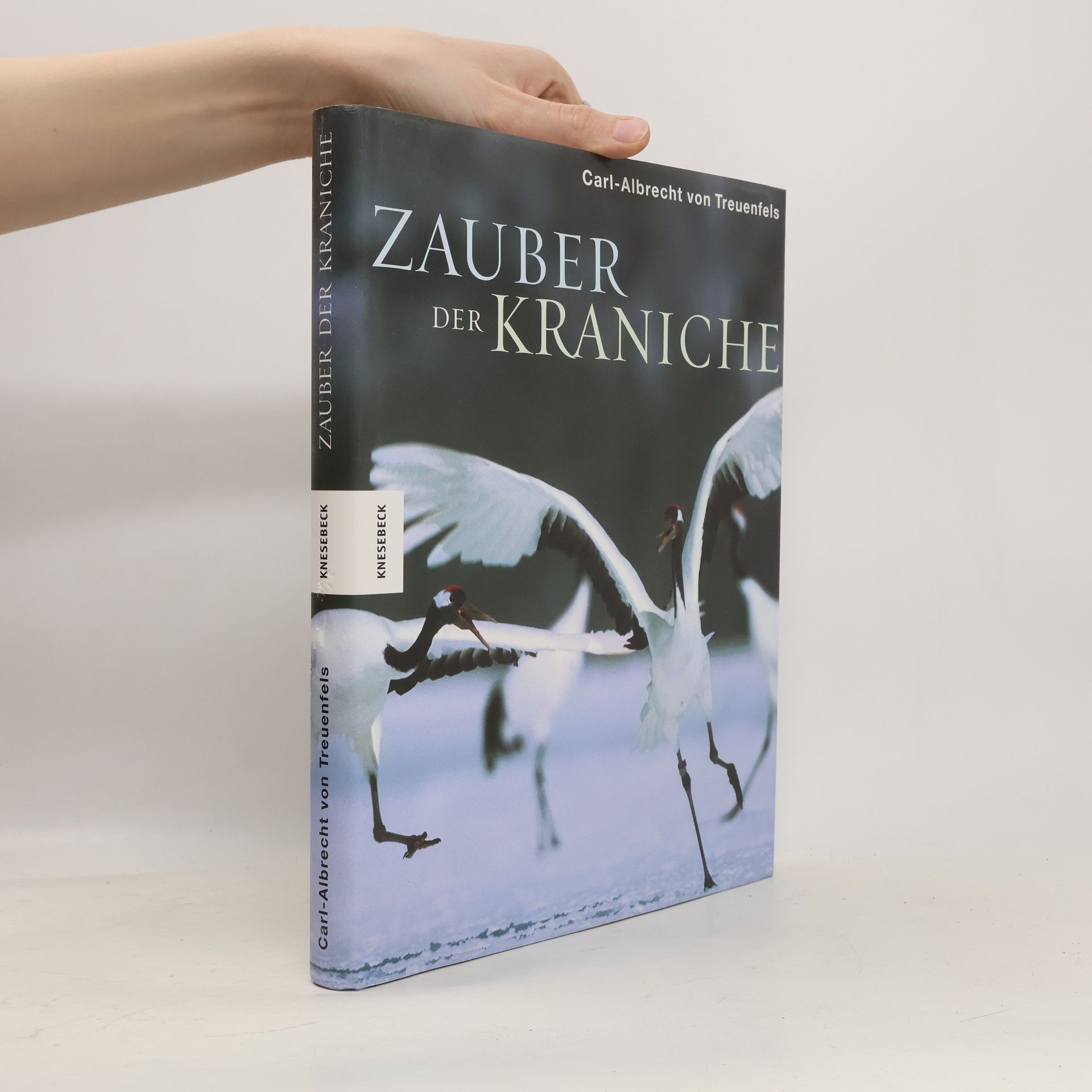 Zauber der Kraniche
