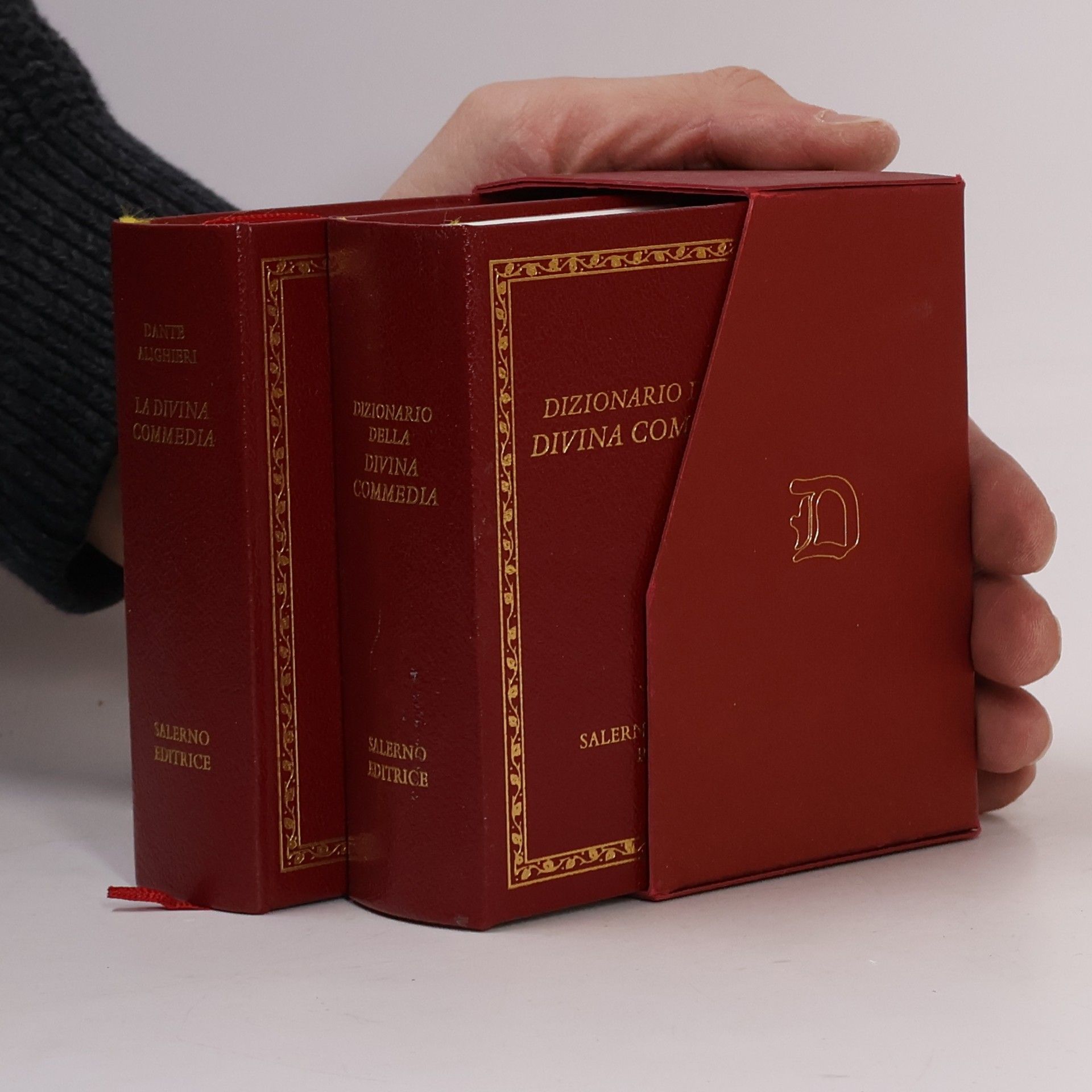 Dante Alighieri La Divina commedia. Dizionario della Divina Commedia