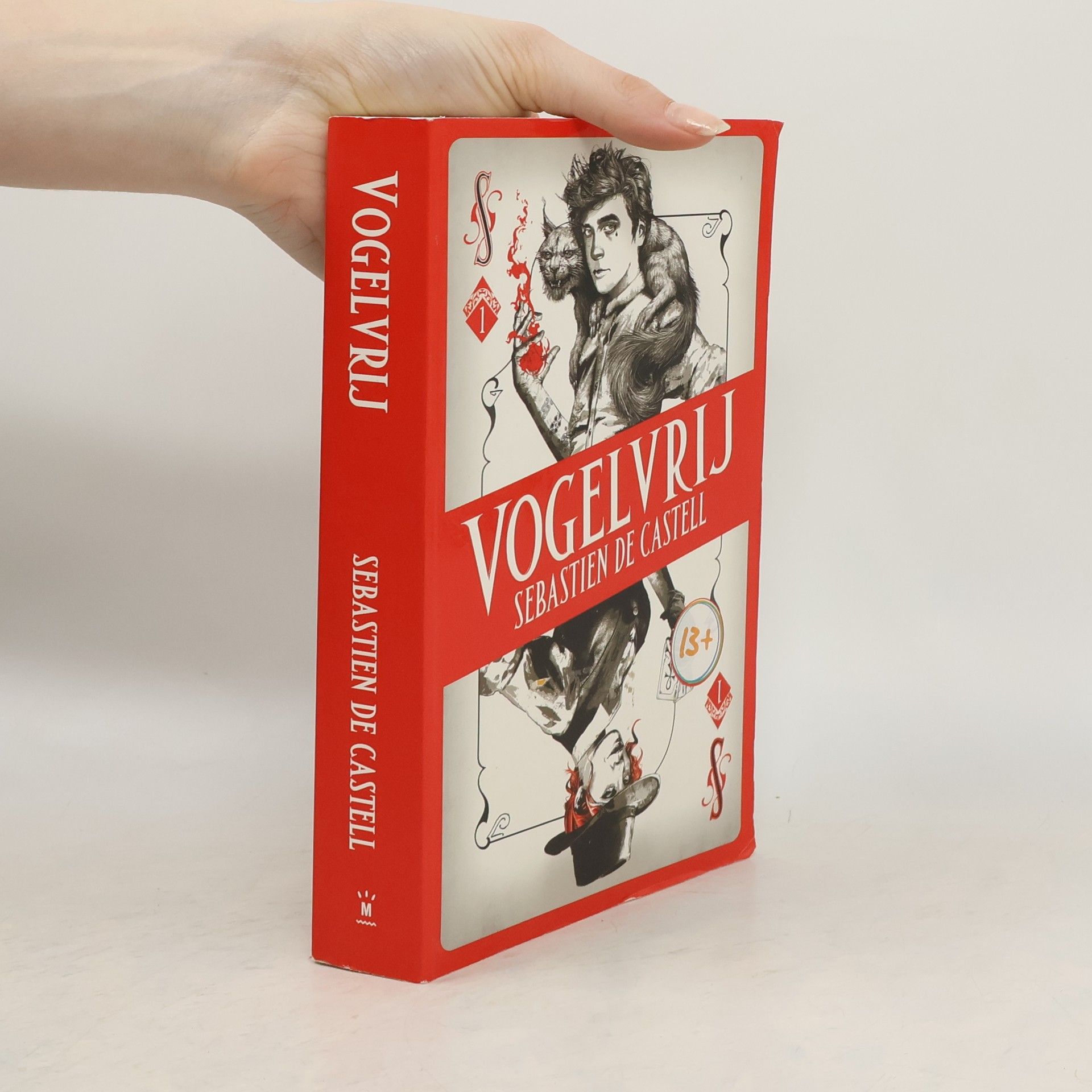 Spellslinger - 1: Vogelvrij