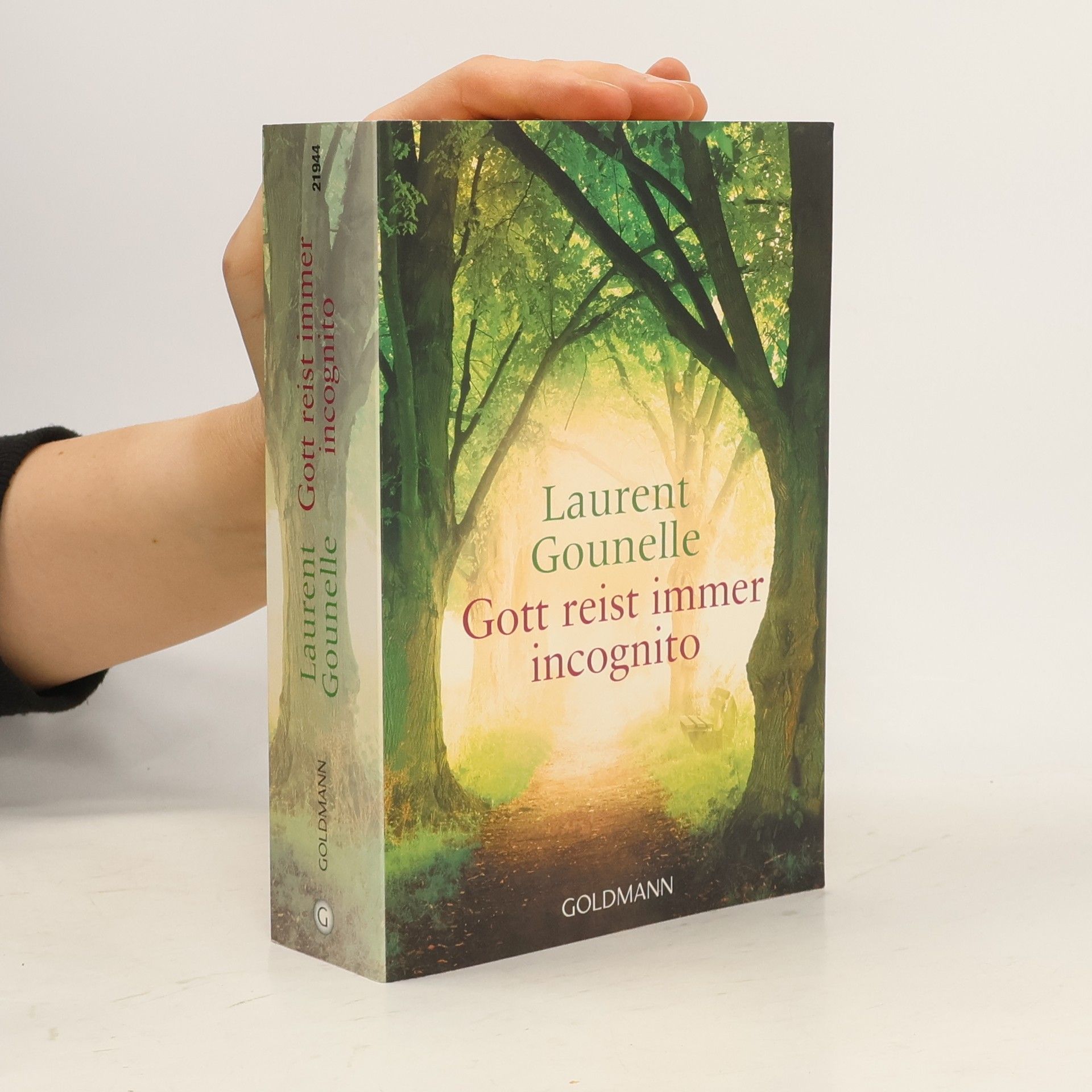 Laurent Gounelle Gott reist immer incognito