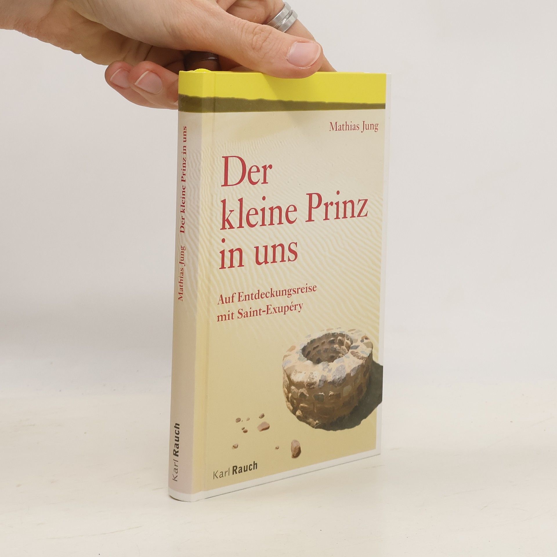 Mathias Jung Der kleine Prinz in uns
