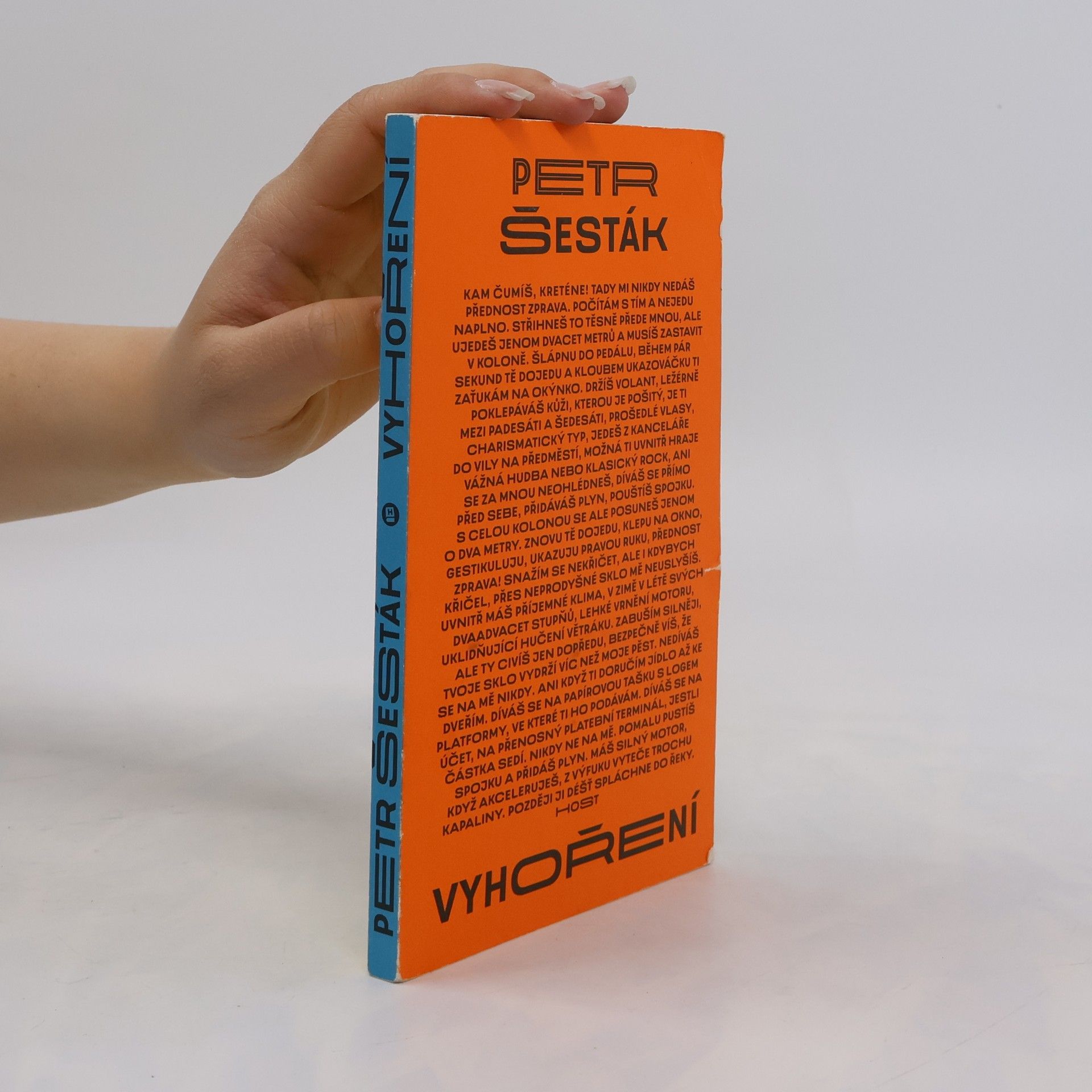 Petr Šesták Vyhoření