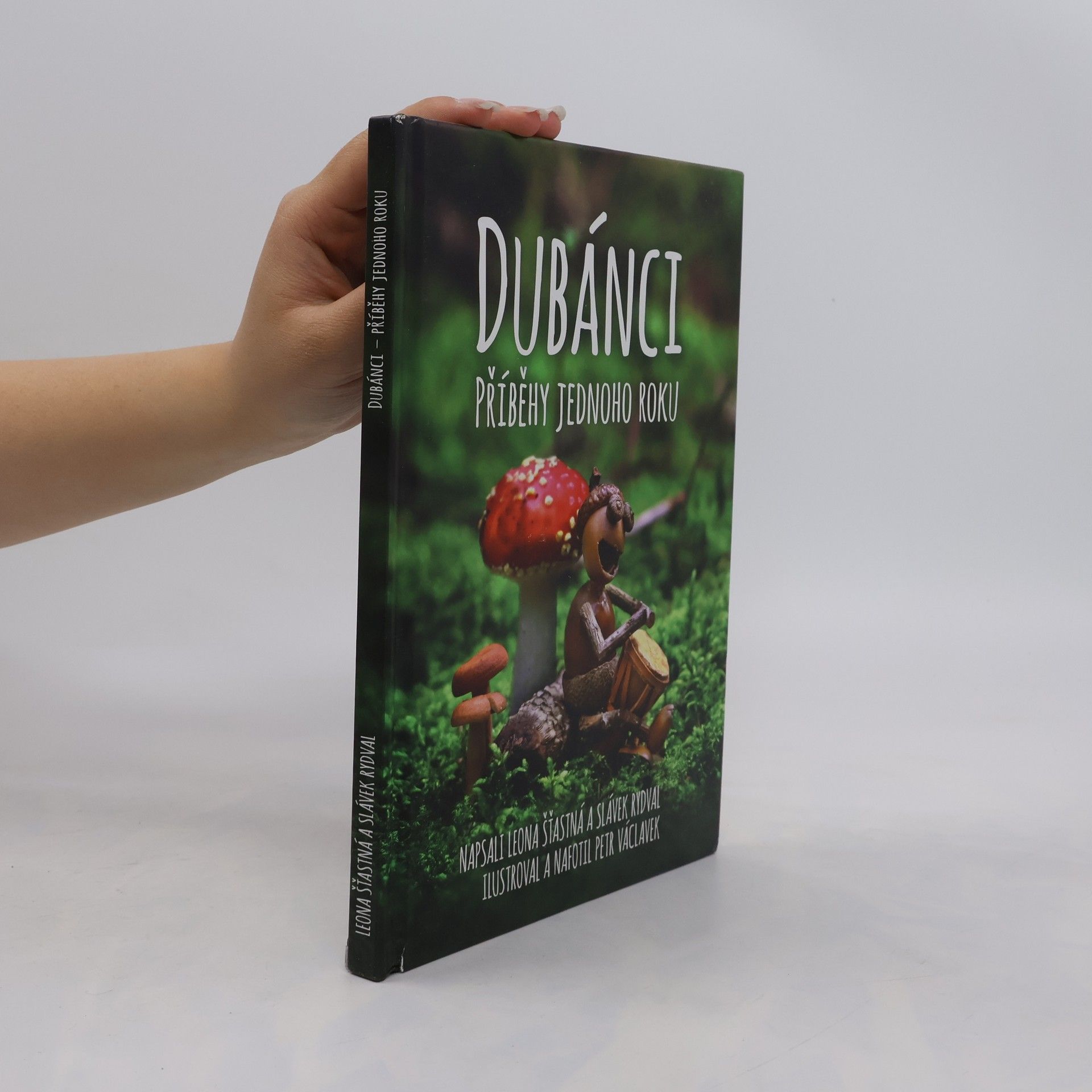 Dubánci: Příběhy jednoho roku