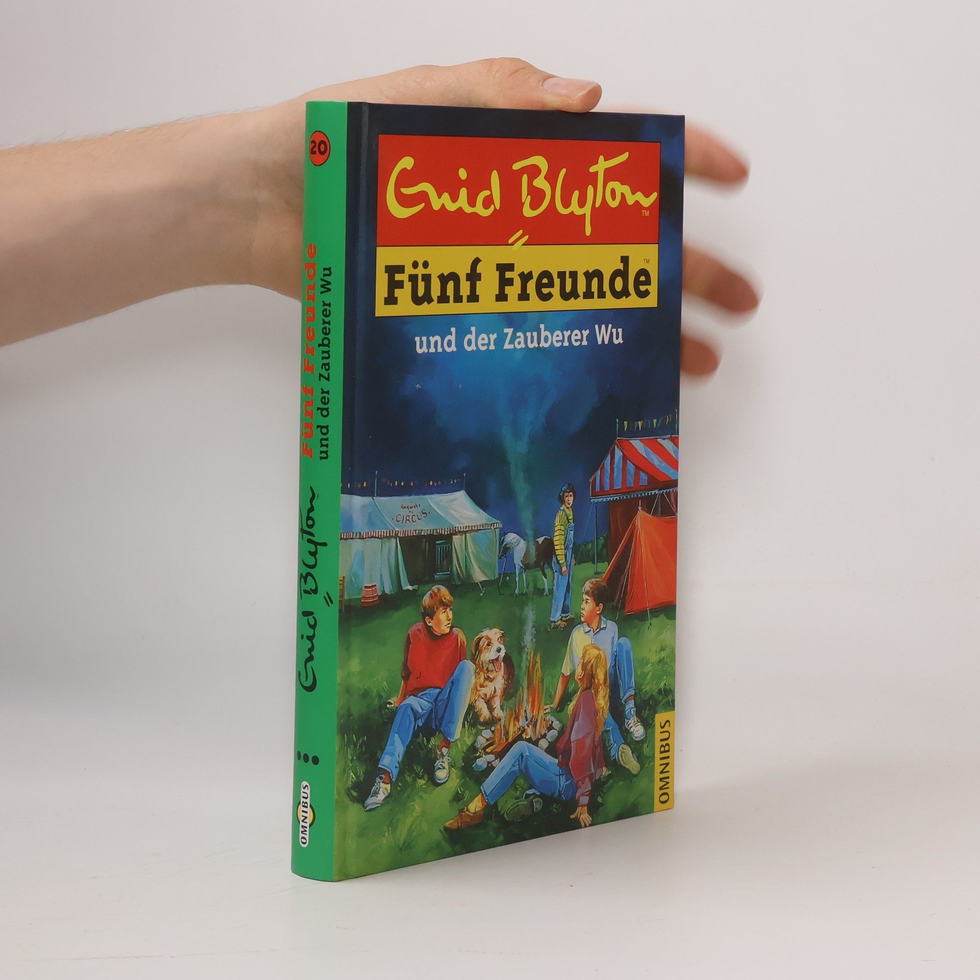 Enid Blyton 5 Freunde und der Zauberer Wu