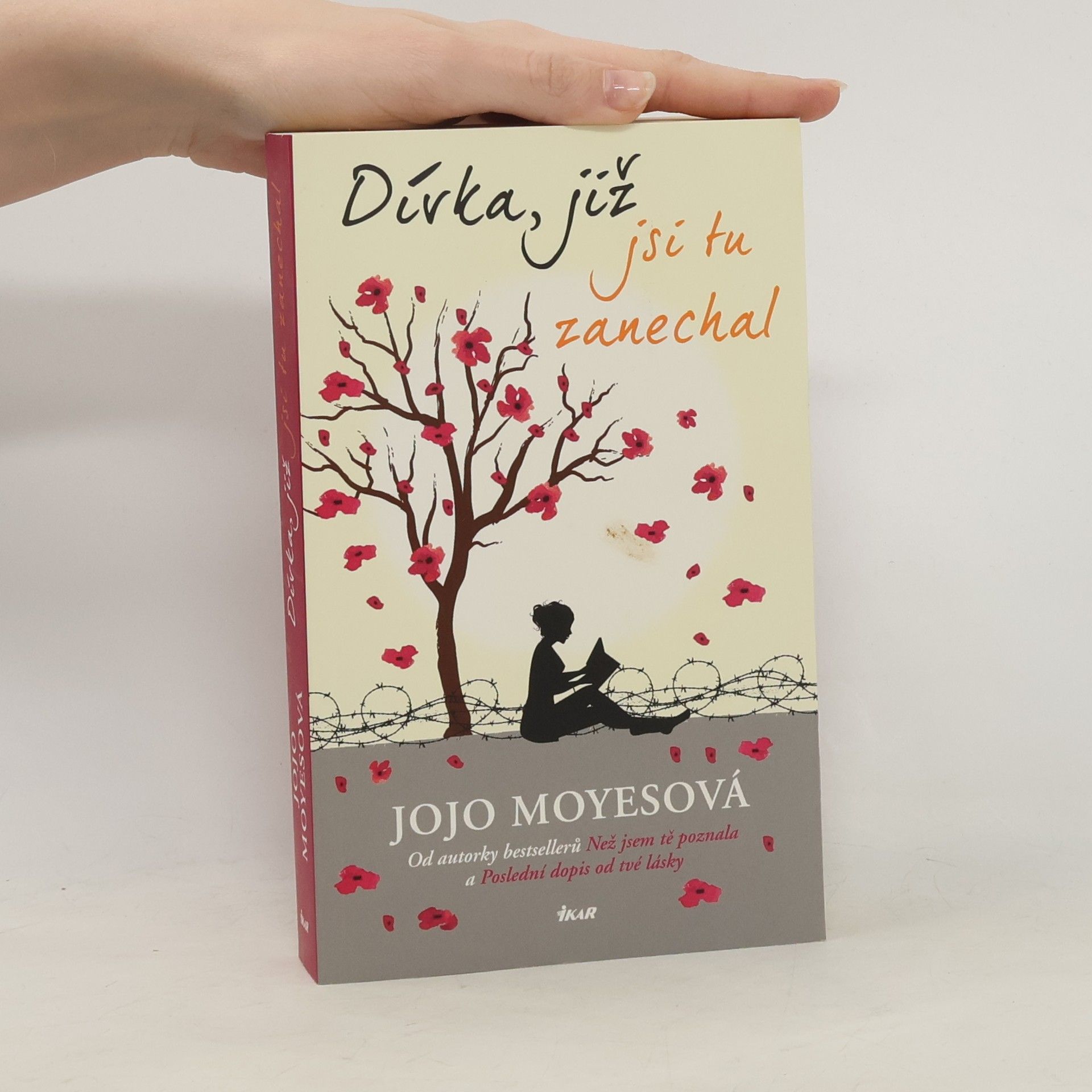 Jojo Moyes Dívka, již jsi tu zanechal