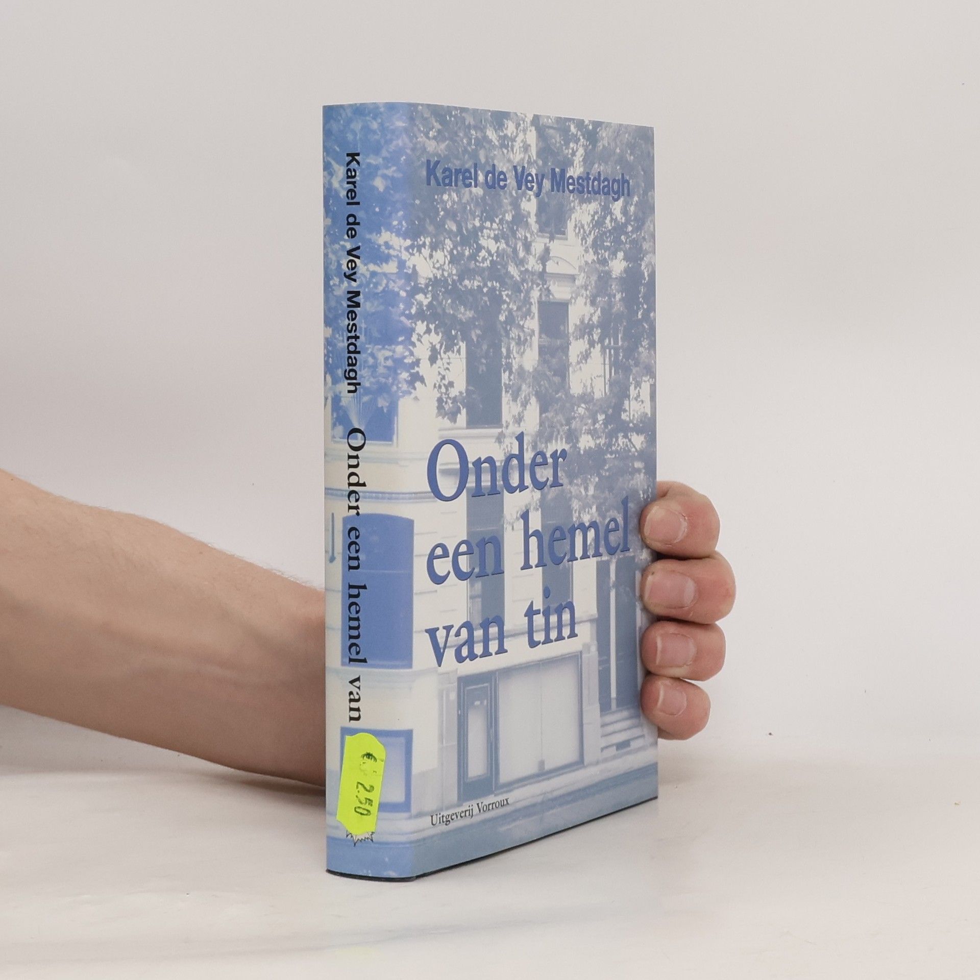 Karel de Vey Mestdagh Onder een hemel van tin