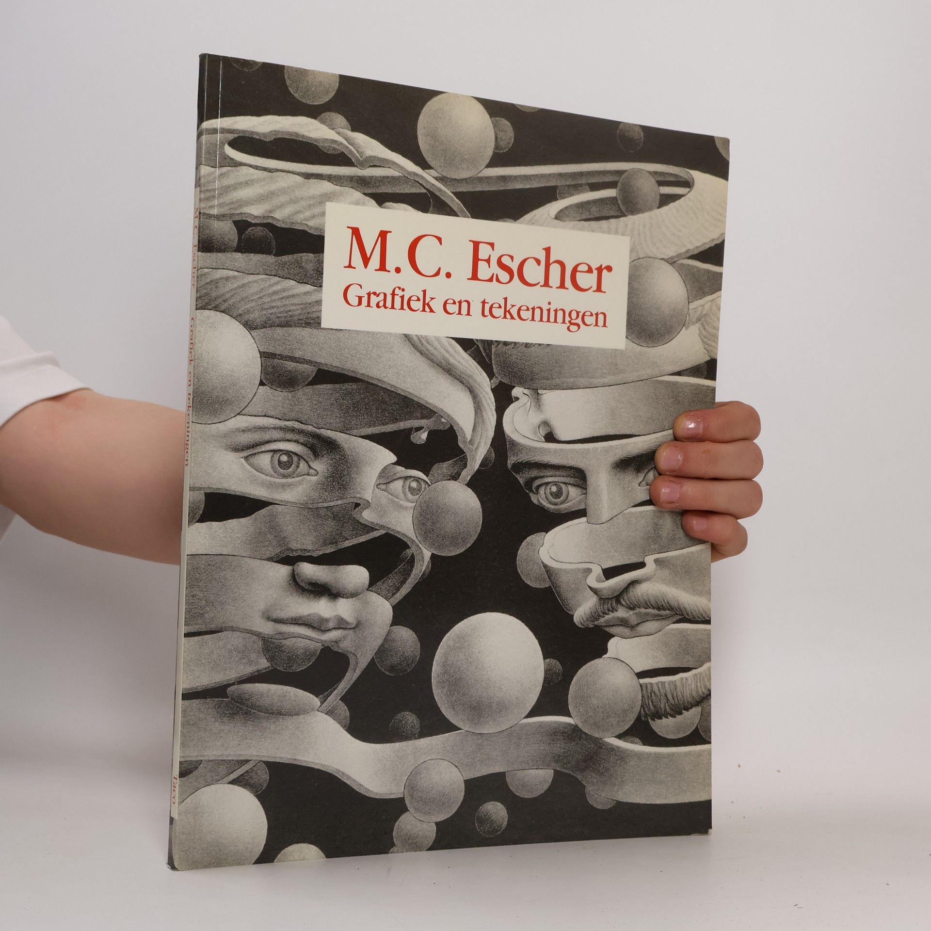 Grafiek en tekeningen