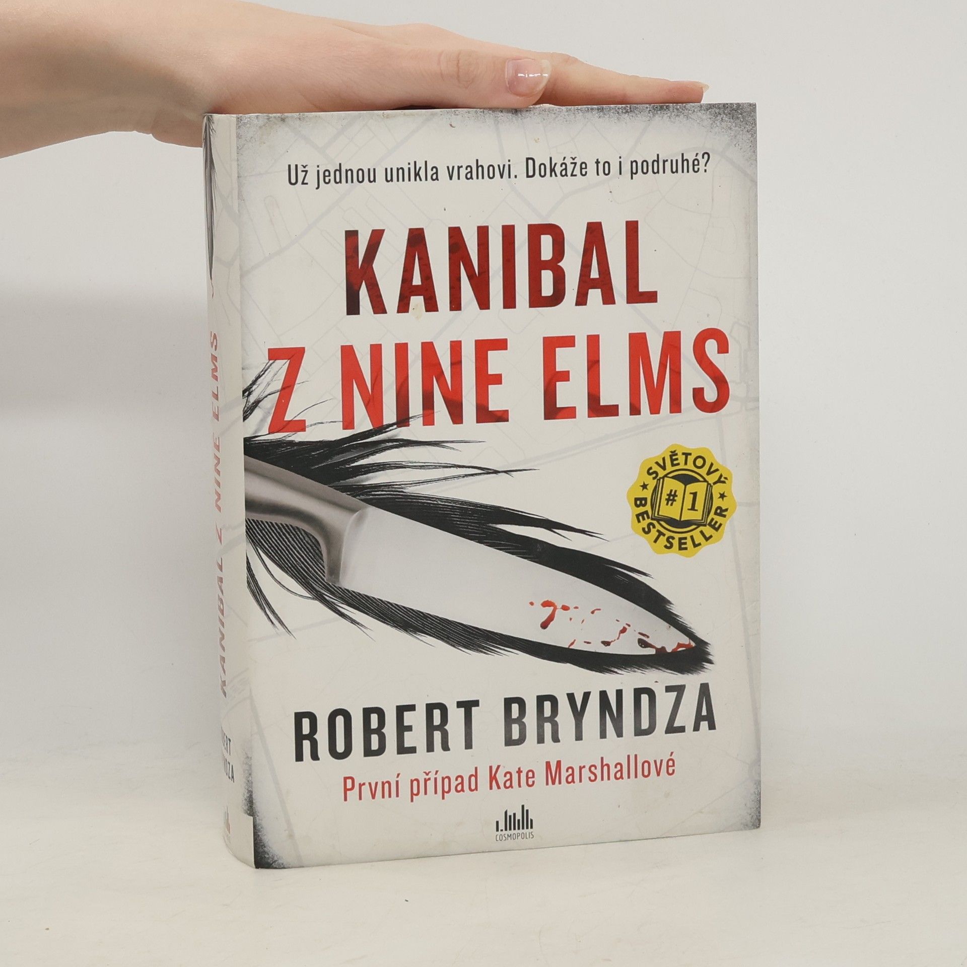 Robert Bryndza Kanibal z Nine Elms