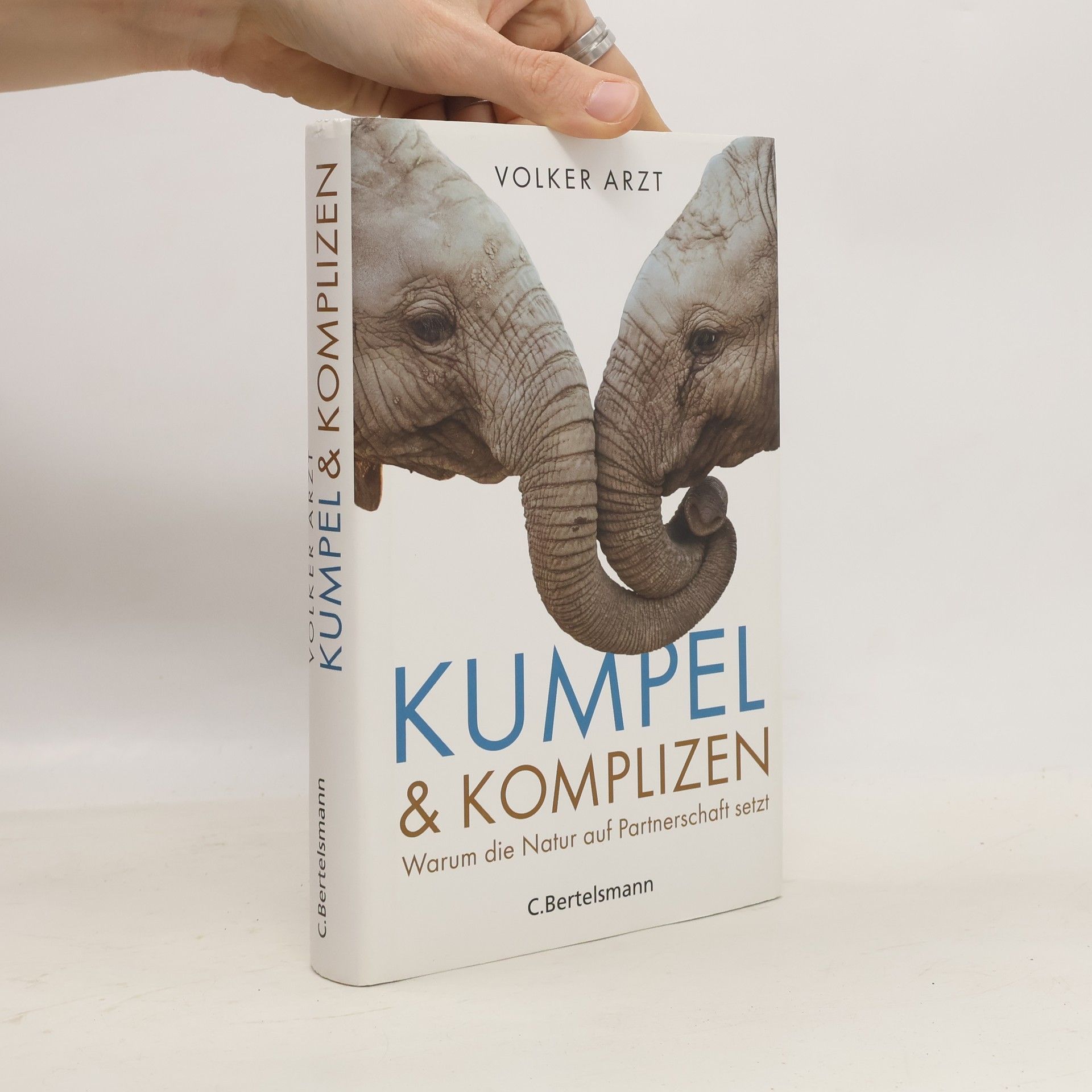 Kumpel & Komplizen