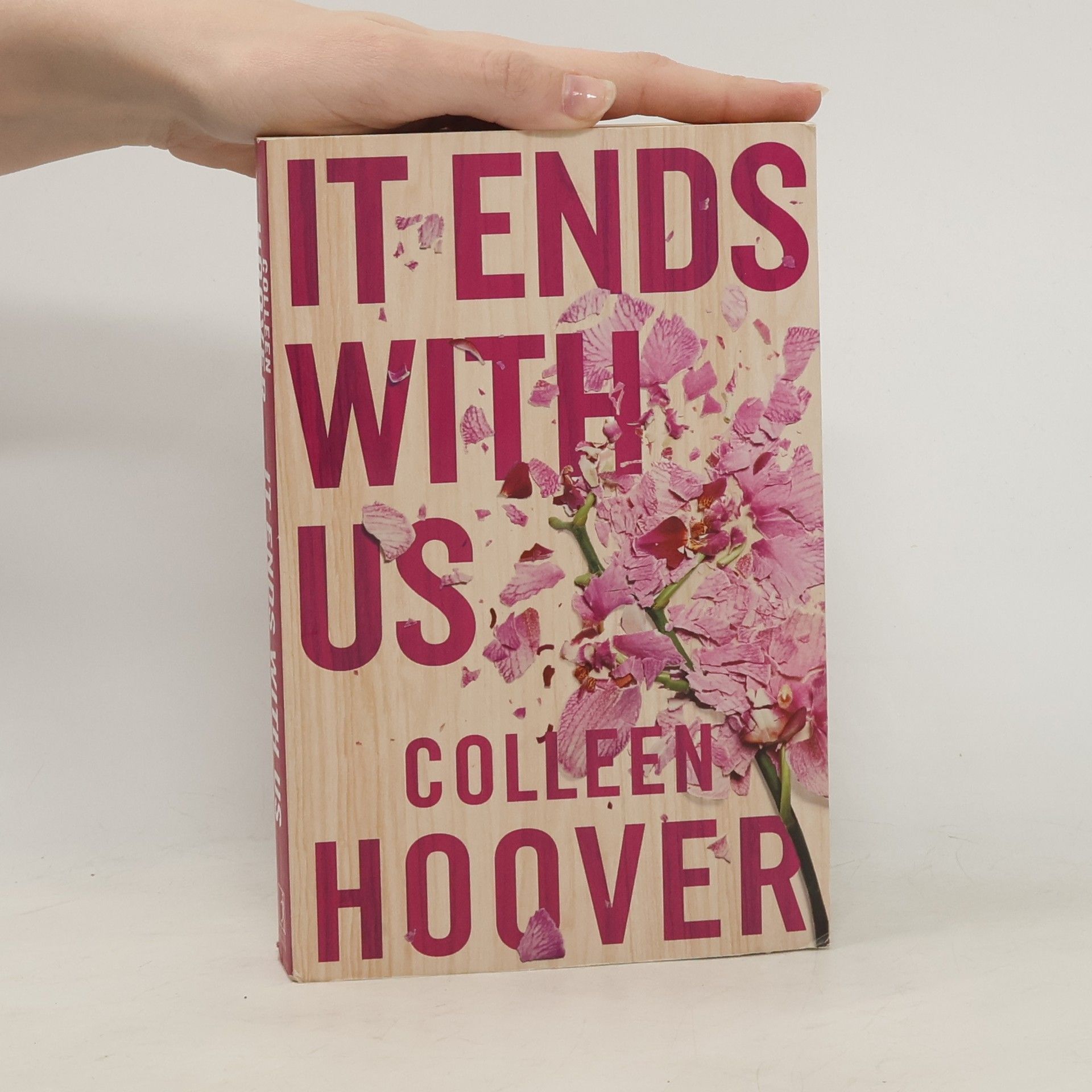 Colleen Hoover It Ends With Us