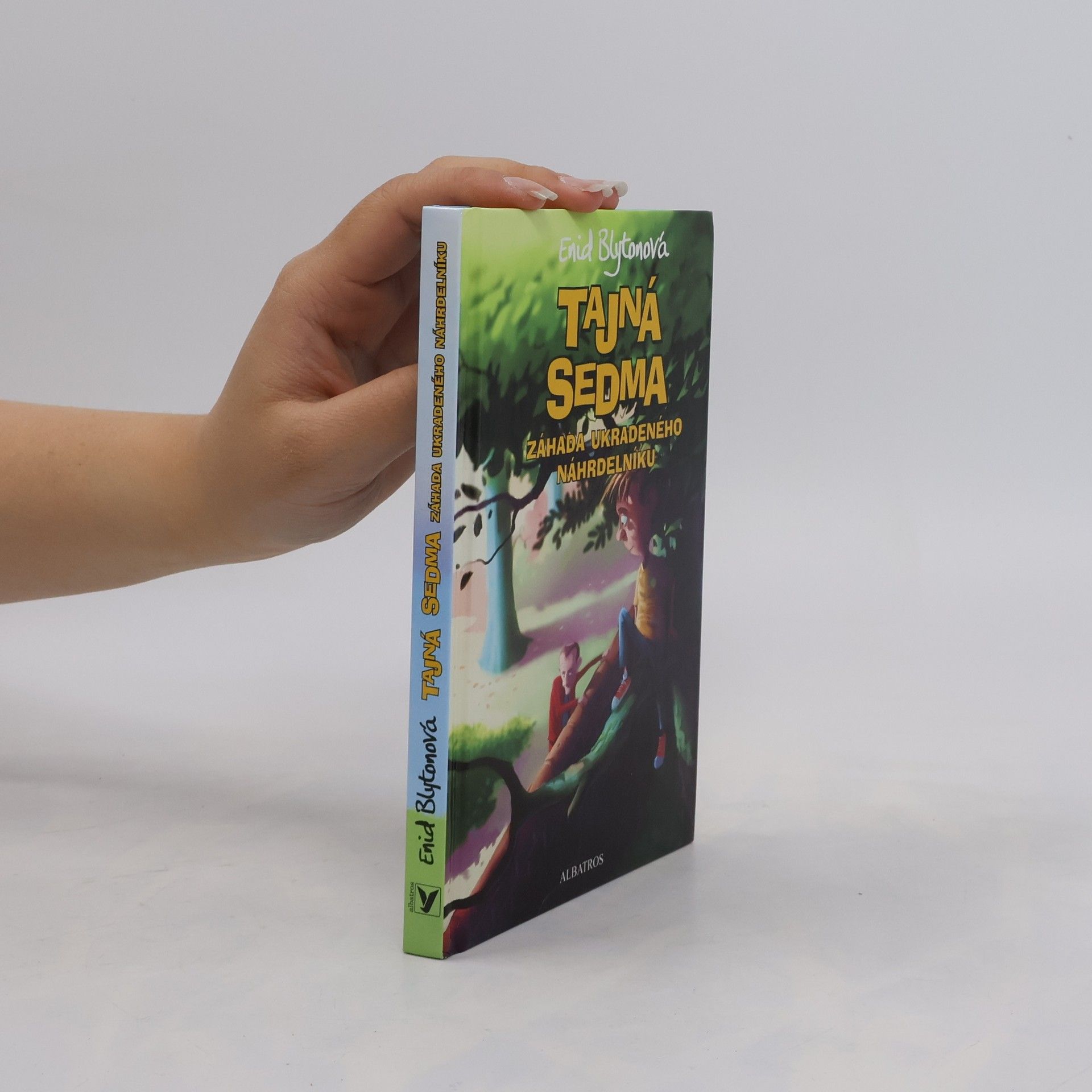 Enid Blyton Záhada ukradeného náhrdelníku