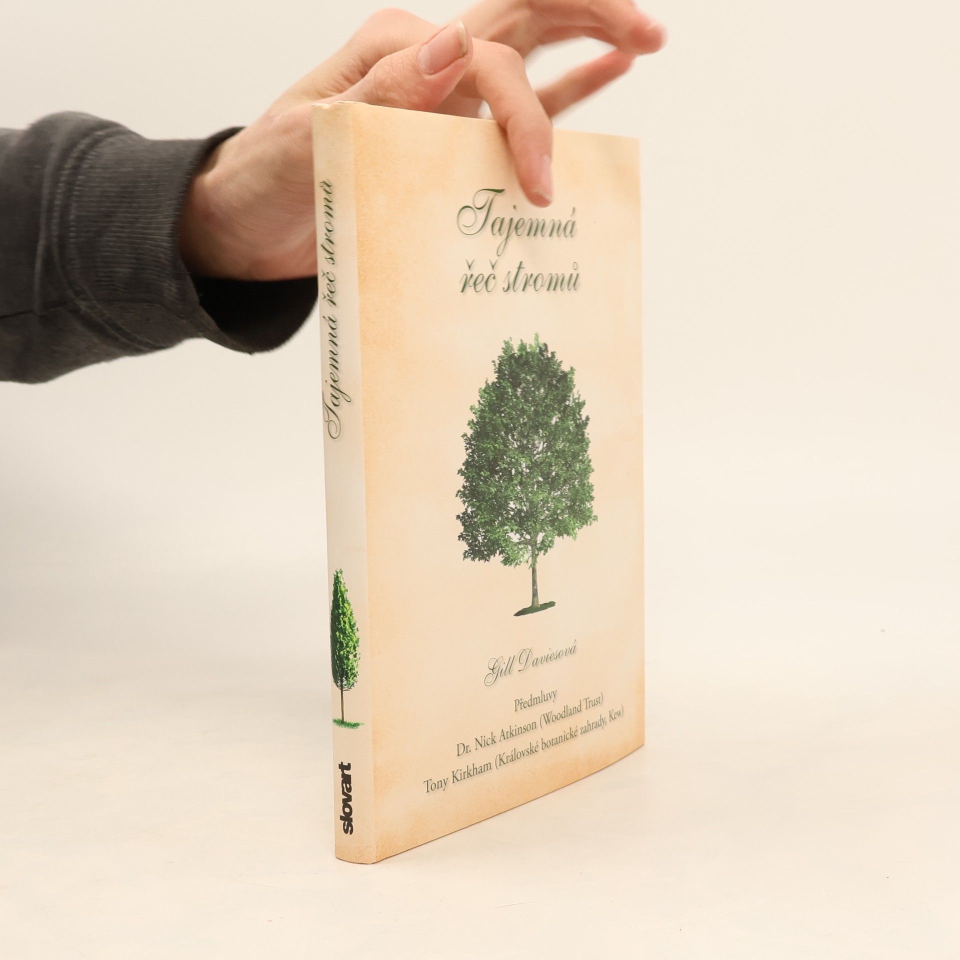 Gill Davies Tajemná řeč stromů