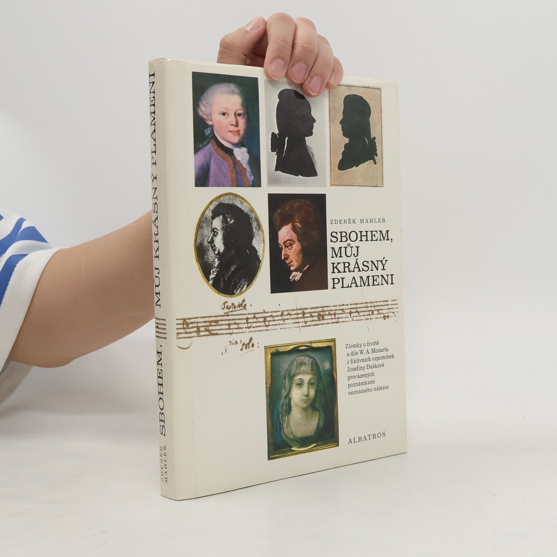 Zdeněk Mahler Sbohem, můj krásný plameni