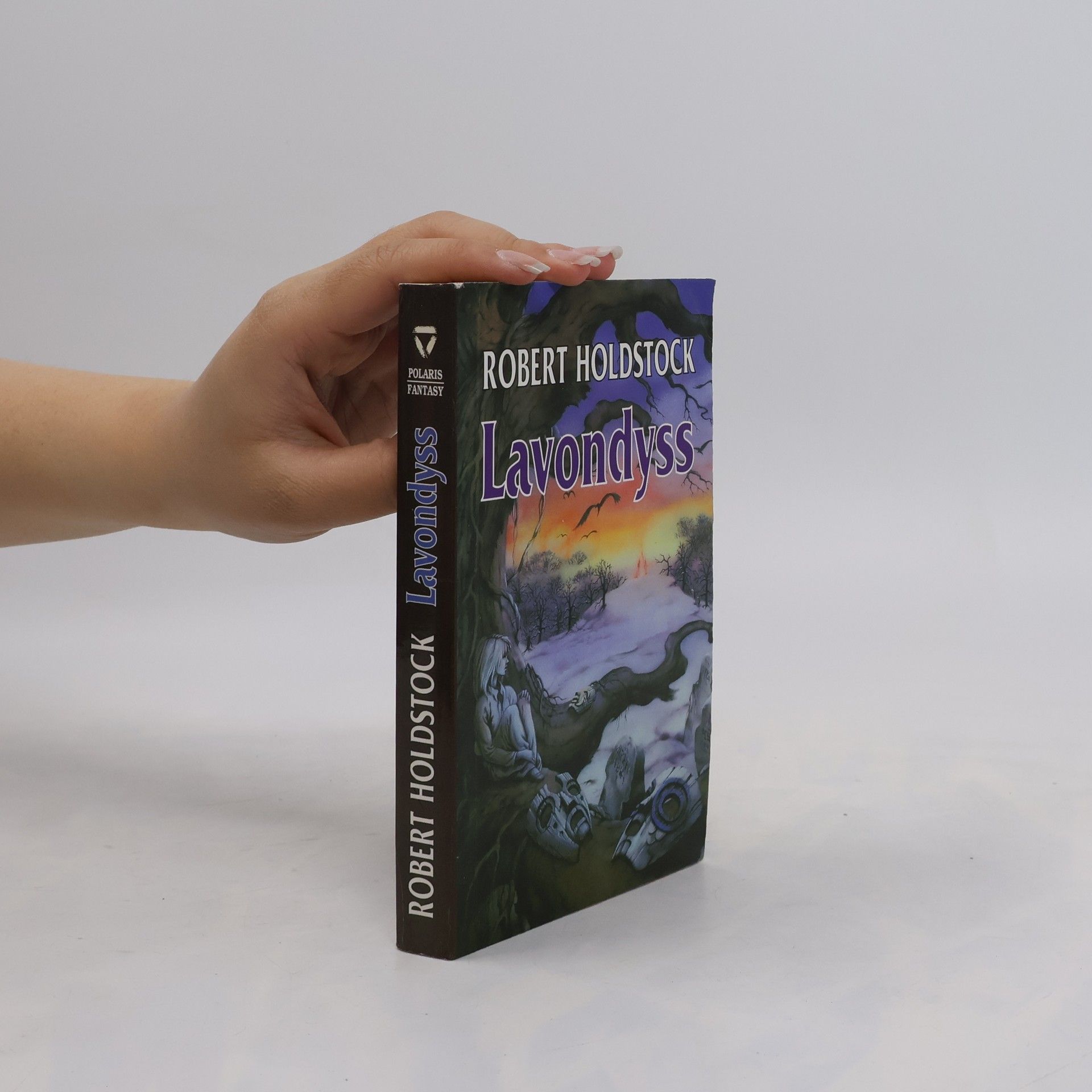 Robert Holdstock Lavondyss : cesta do neznámé země