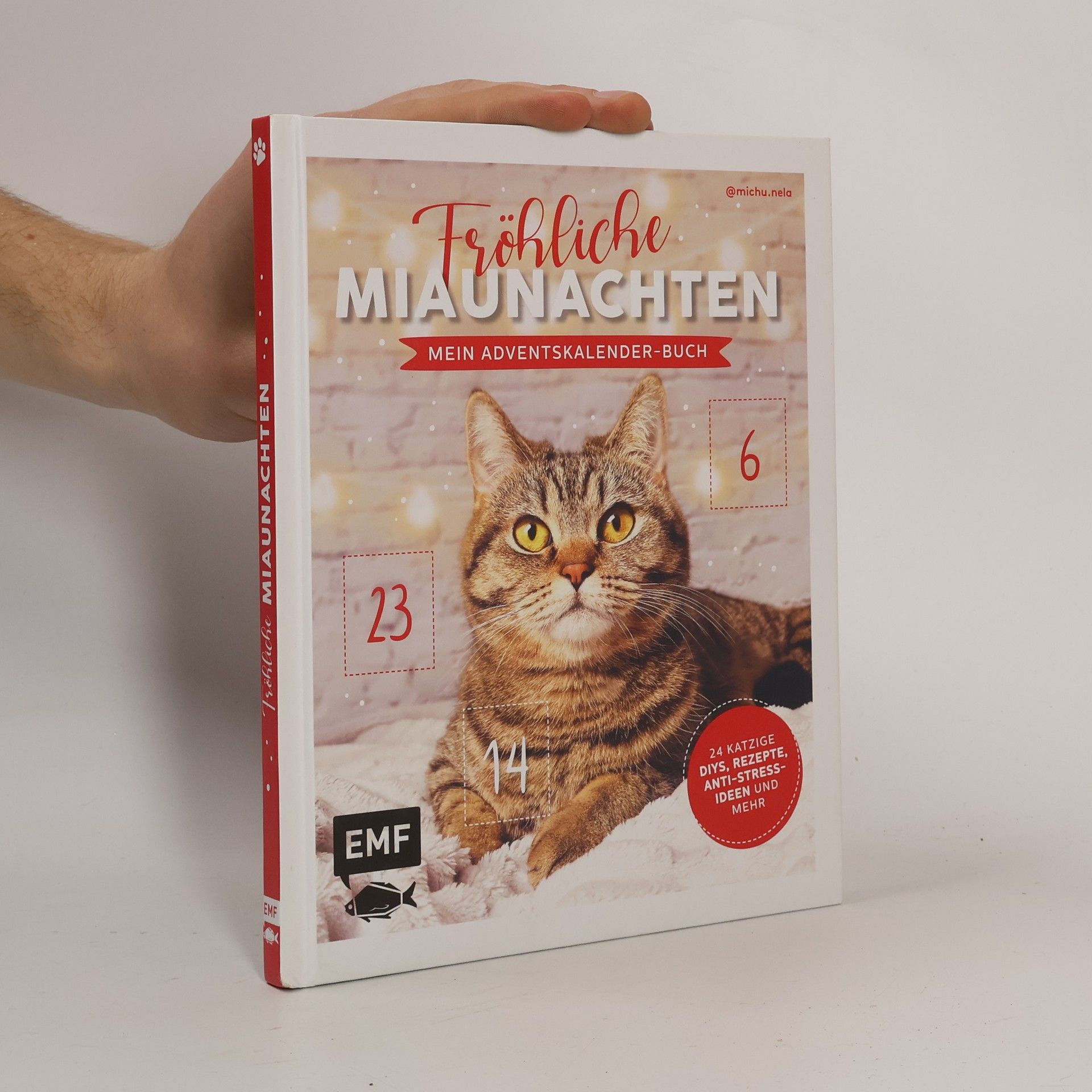 Jessica Lorente Mein Adventskalender-Buch: Fröhliche Miaunachten