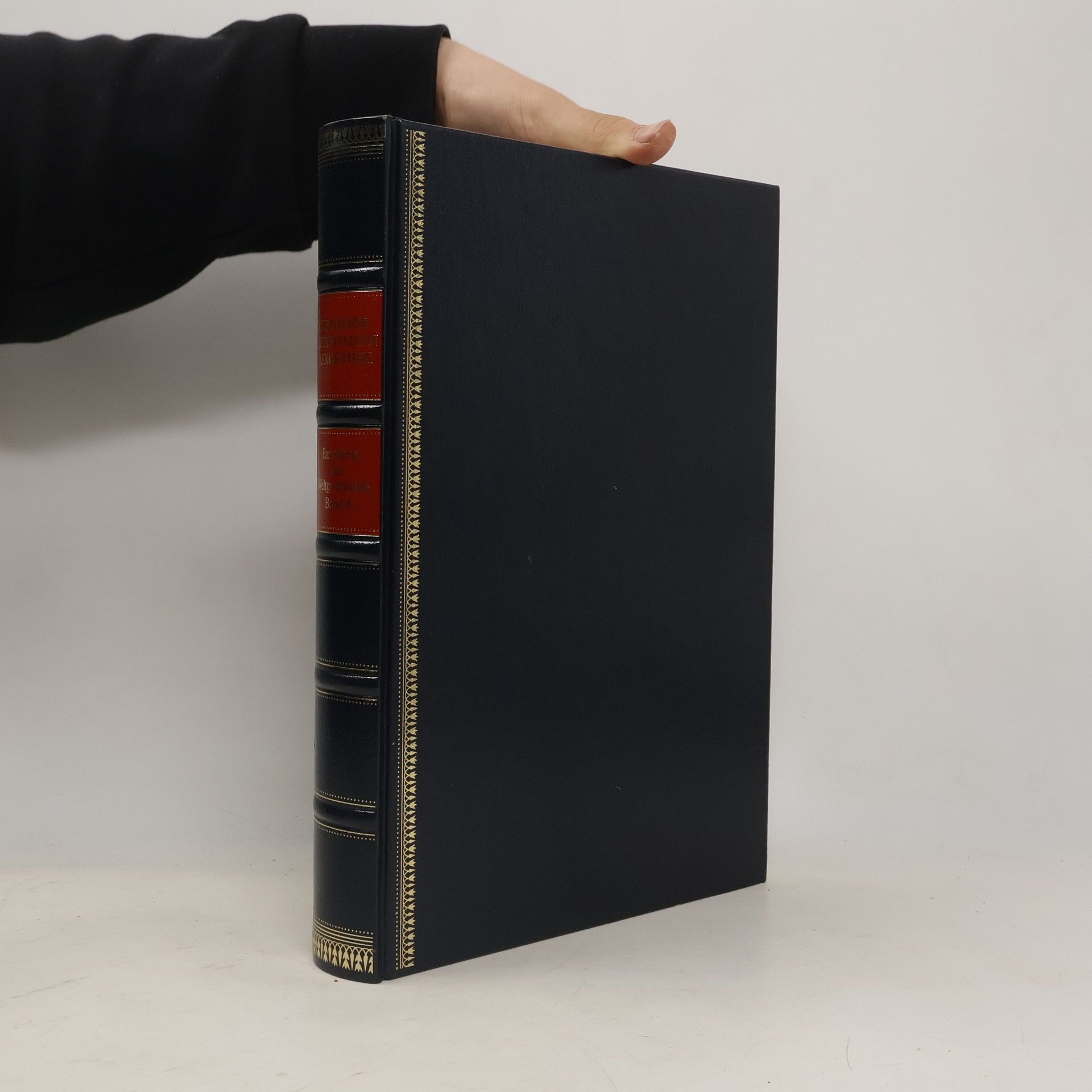 Heinrich Pleticha Die Moderne, von Napoléon bis zur Gegenwart