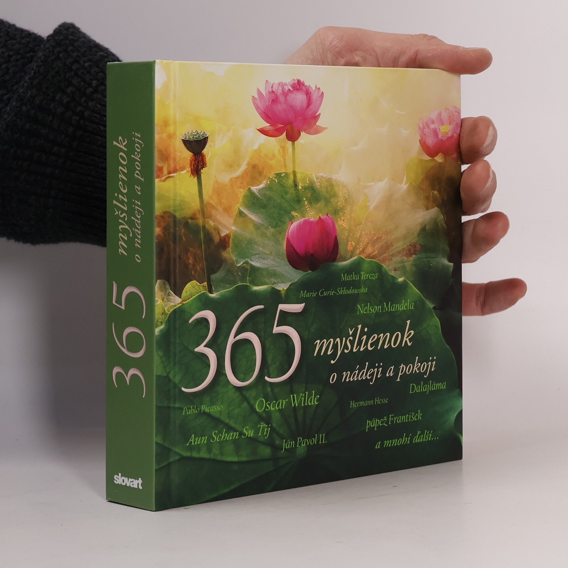 Valeria Manferto De Fabianis 365 myšlienok o nádeji a pokoji