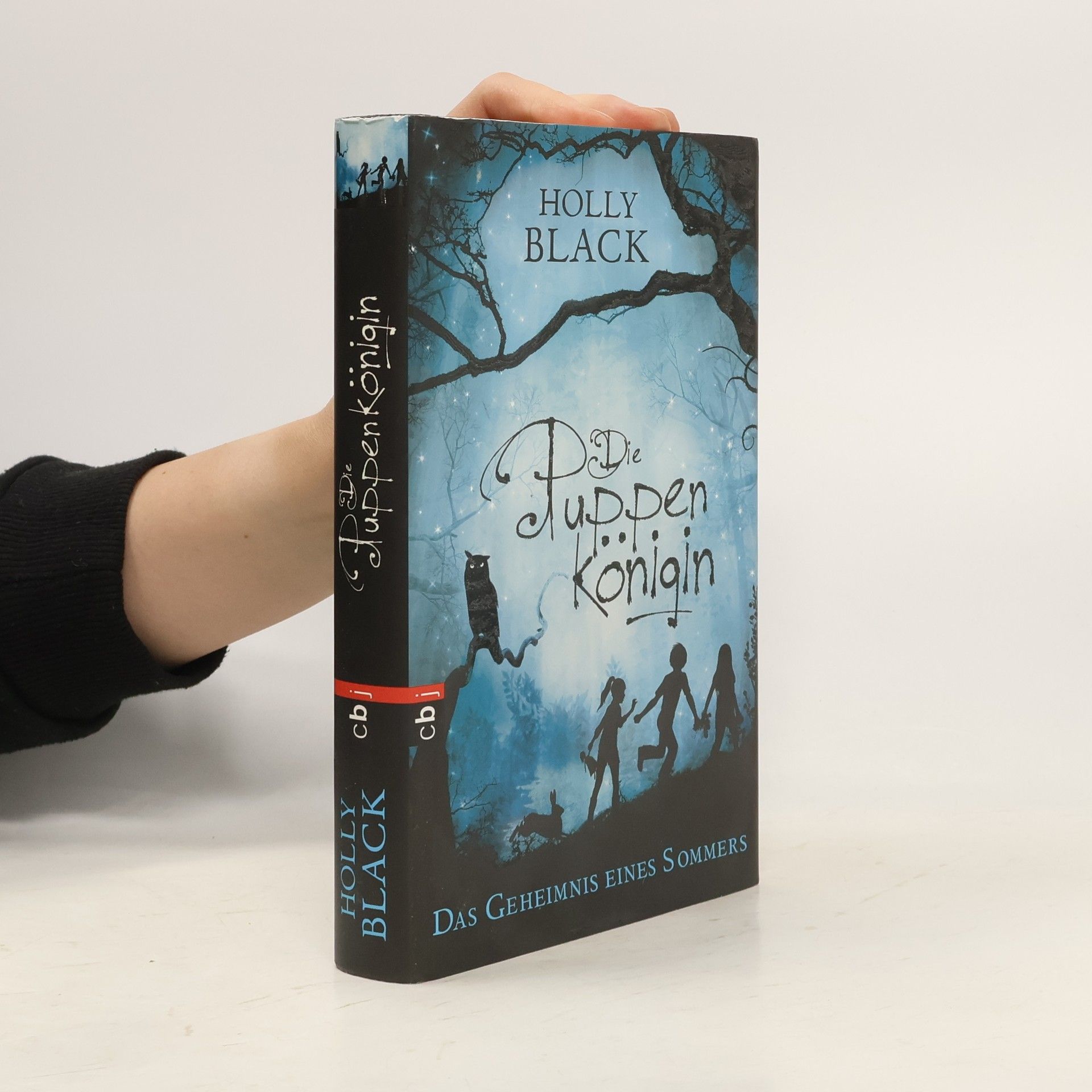 Holly Black Die Puppen Königin