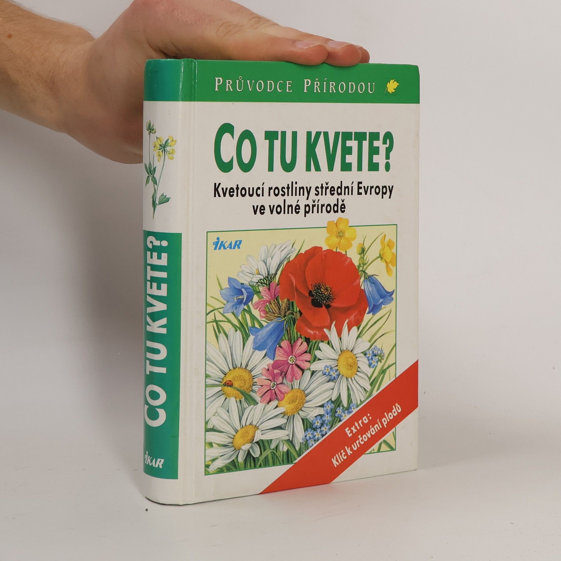 Dietmar Aichele Co tu kvete?