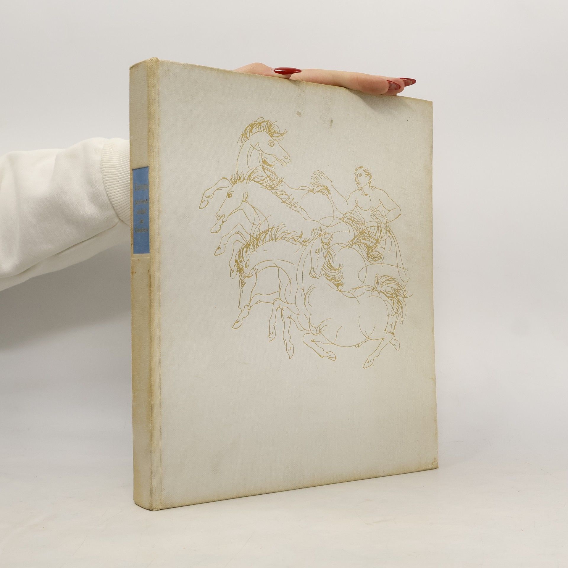 Autorenkollektiv Europa. Sein Wesen im Bild der Geschichte