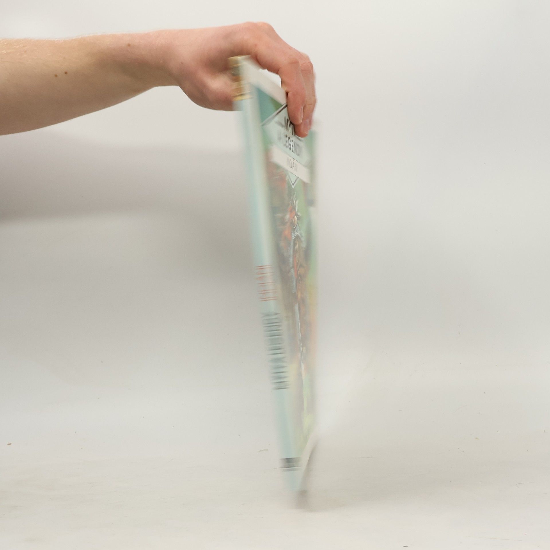 Autorenkollektiv Mýty a Legendy. Indiáni