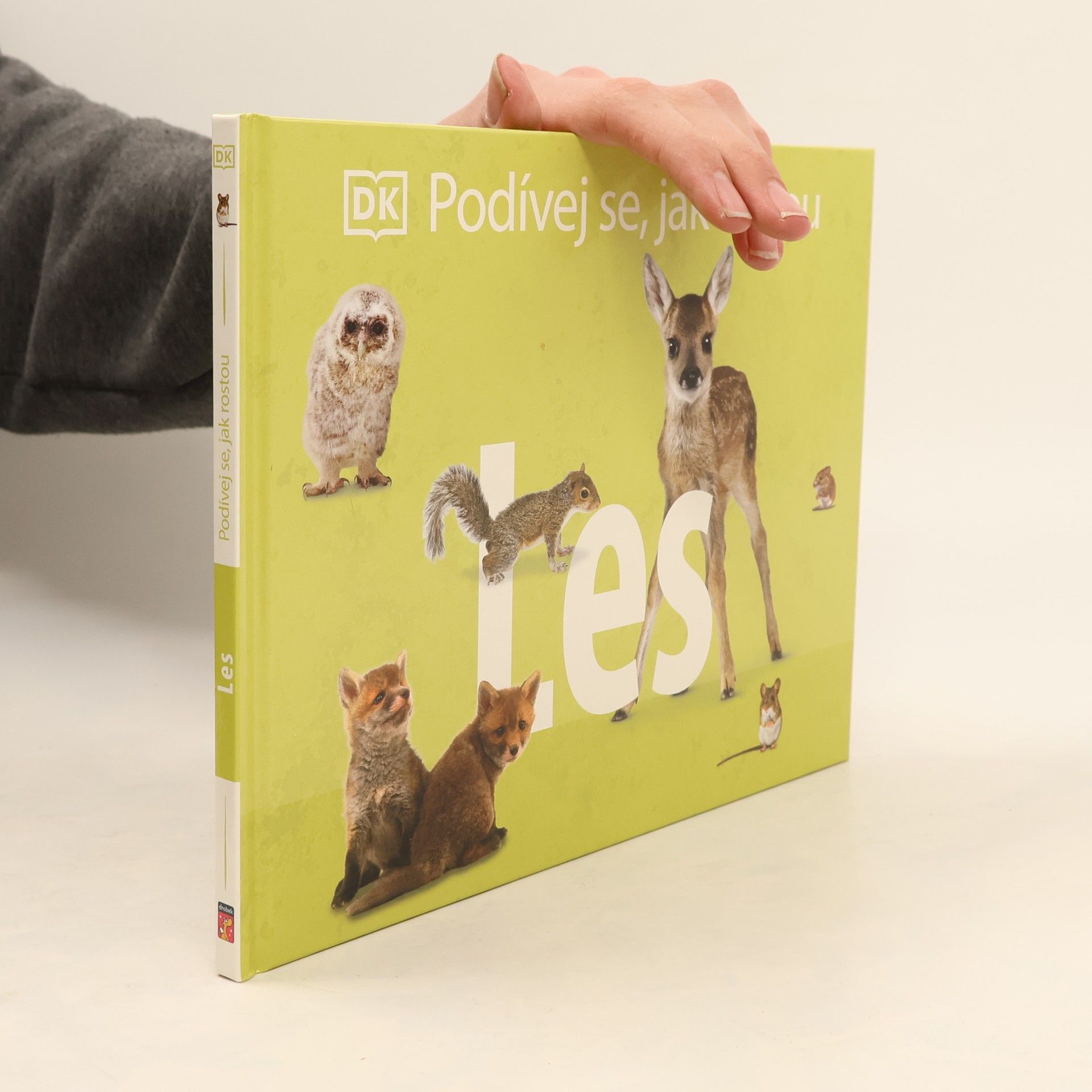 Autorenkollektiv Podívej se, jak rostou: Les