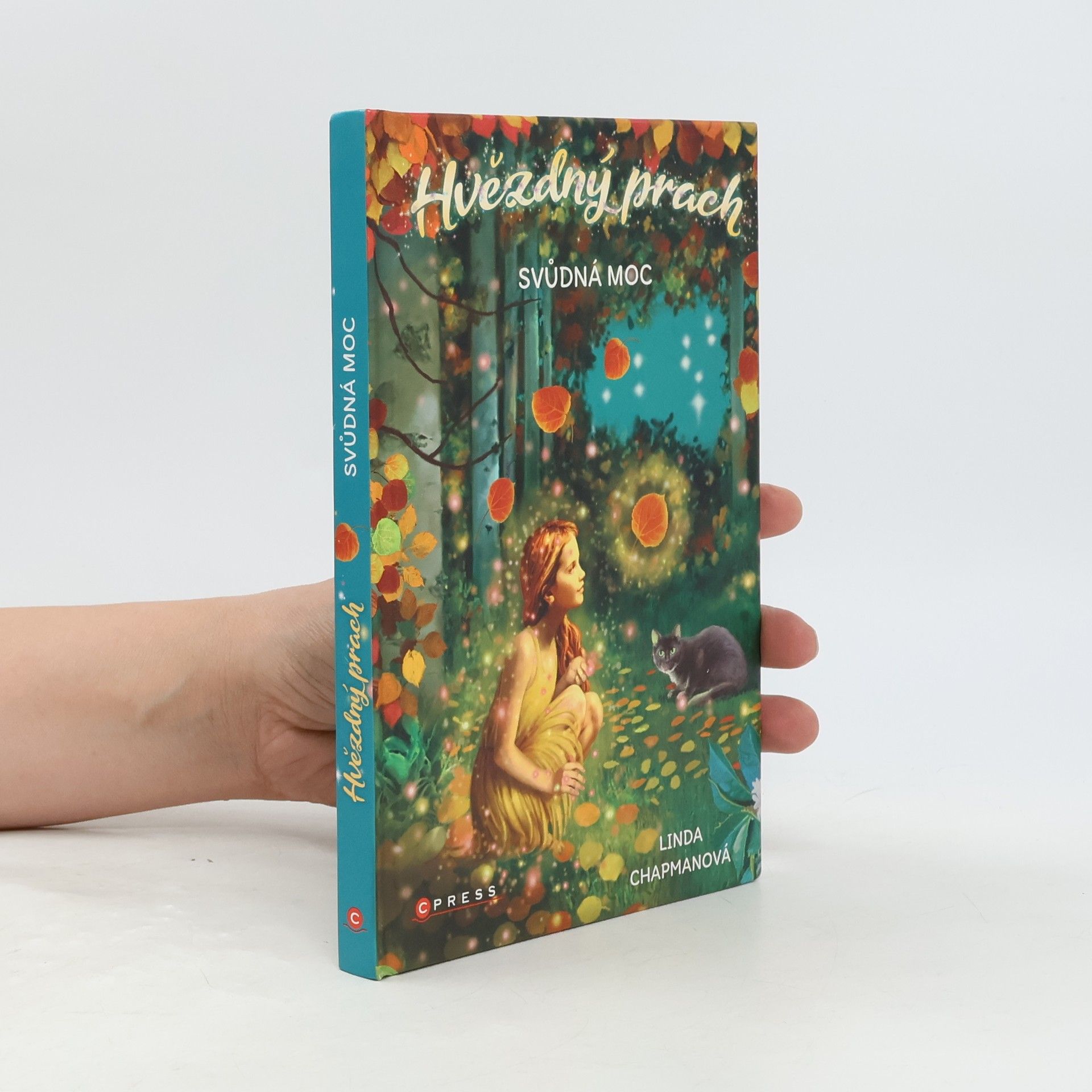 Linda Chapman Svůdná moc