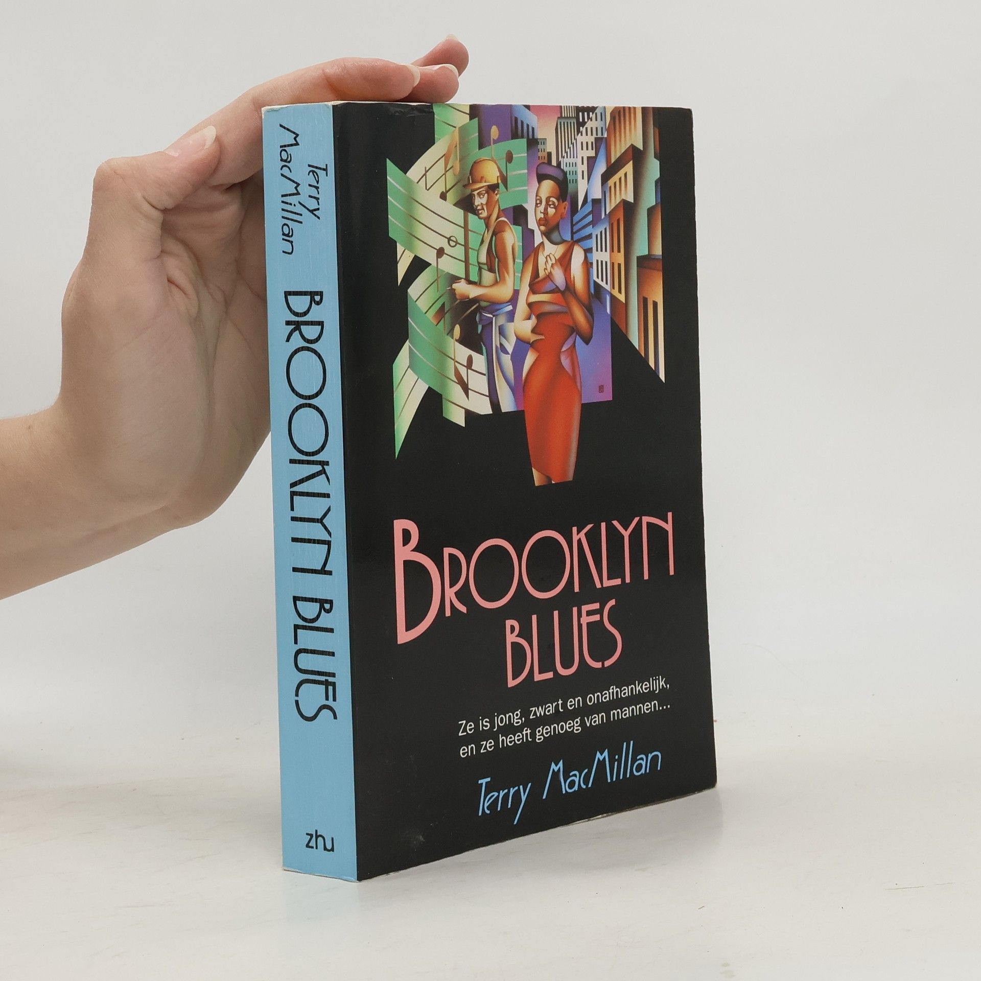 Terry MacMillan Brooklyn Blues