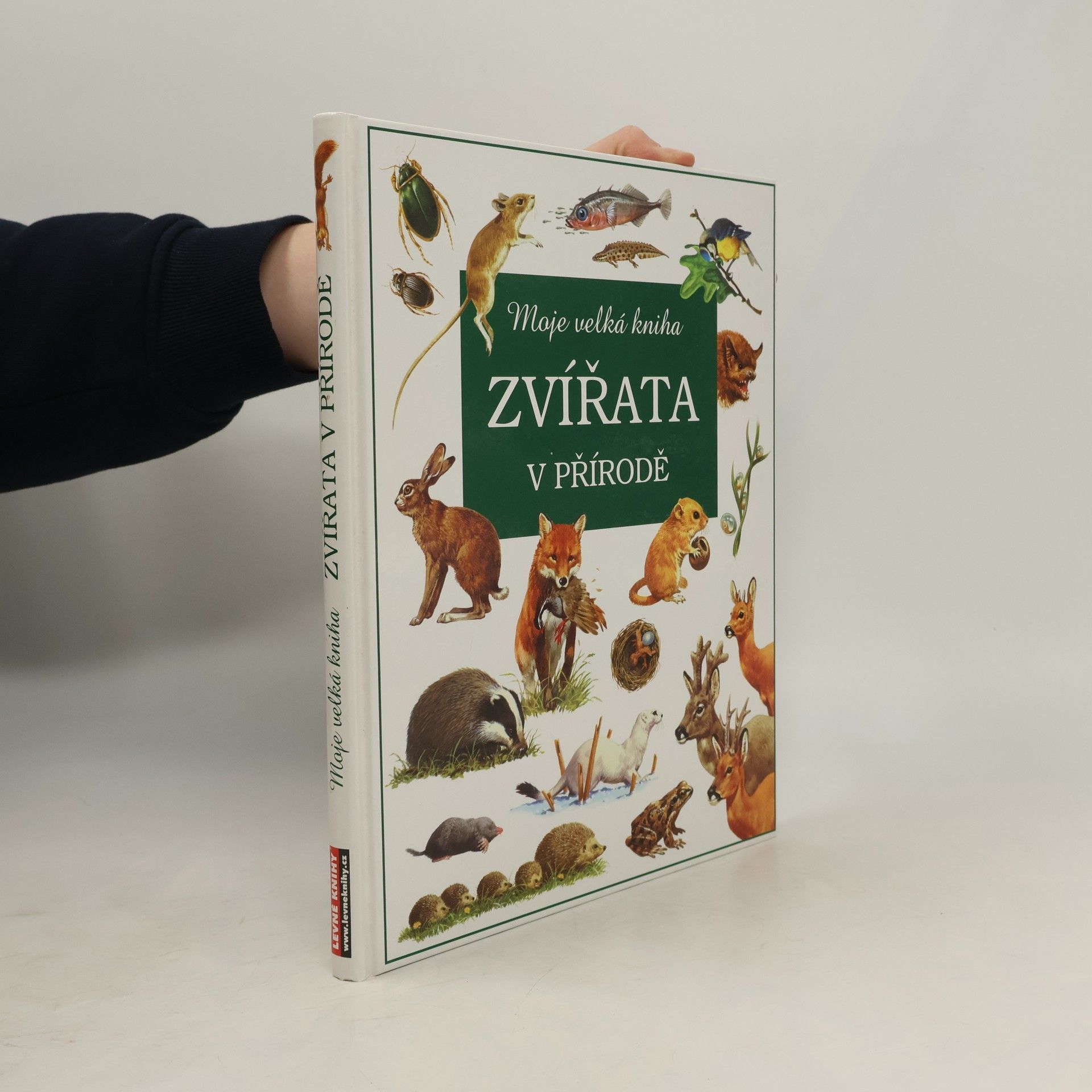 Autorenkollektiv Zvířata v přírodě