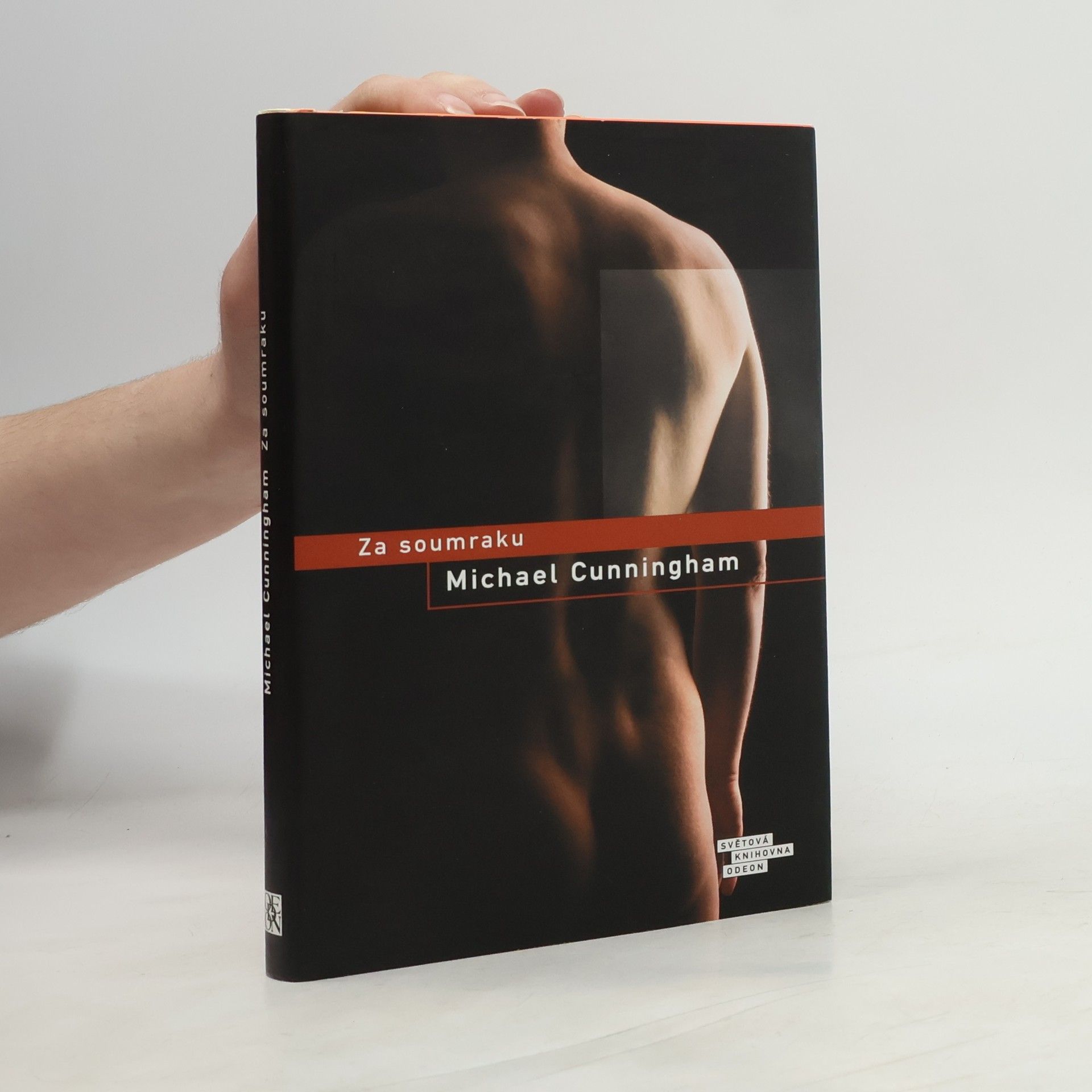 Michael Cunningham Za soumraku