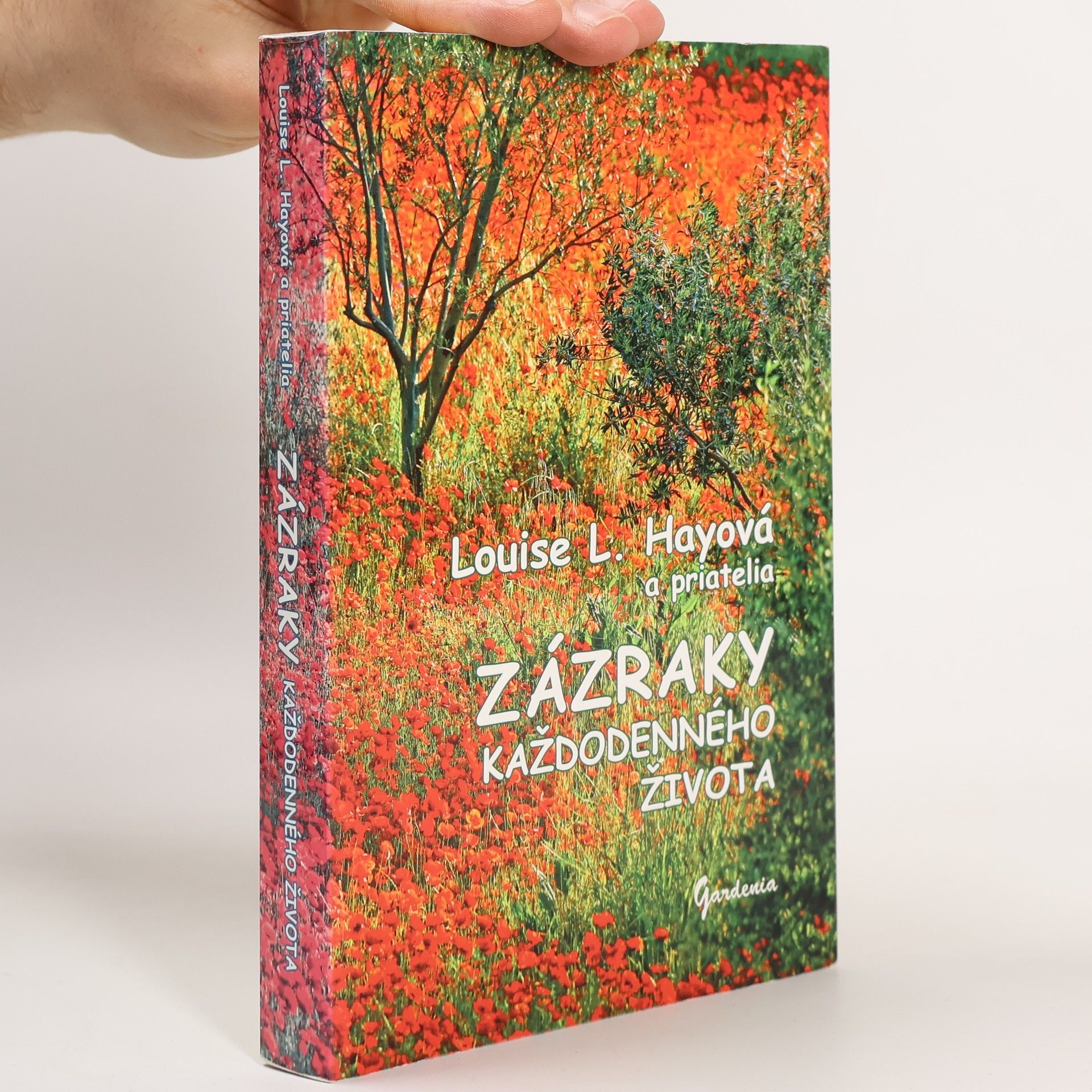 Louise Lynn Hay Zázraky každodenného života