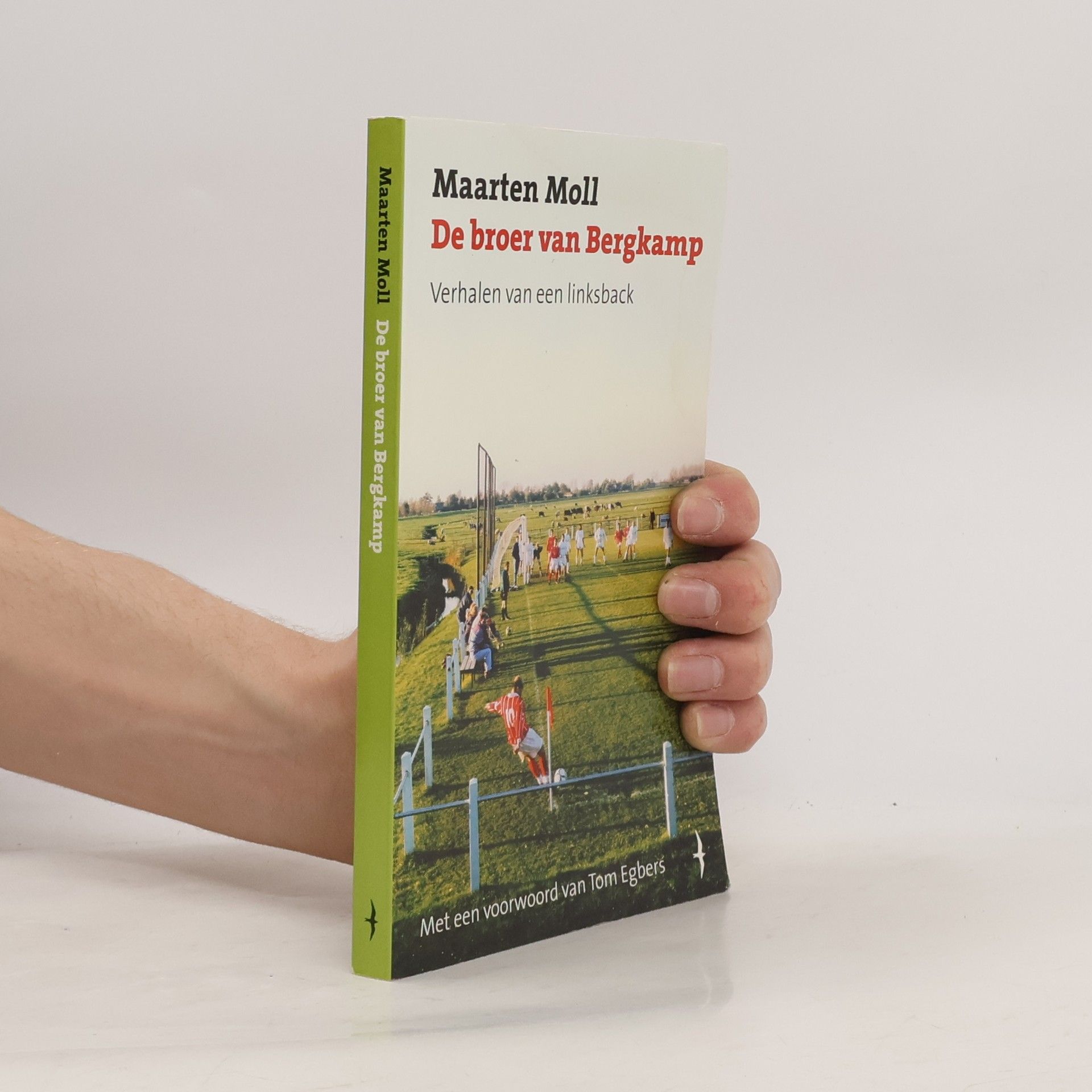 Maarten Moll De broer van Bergkamp