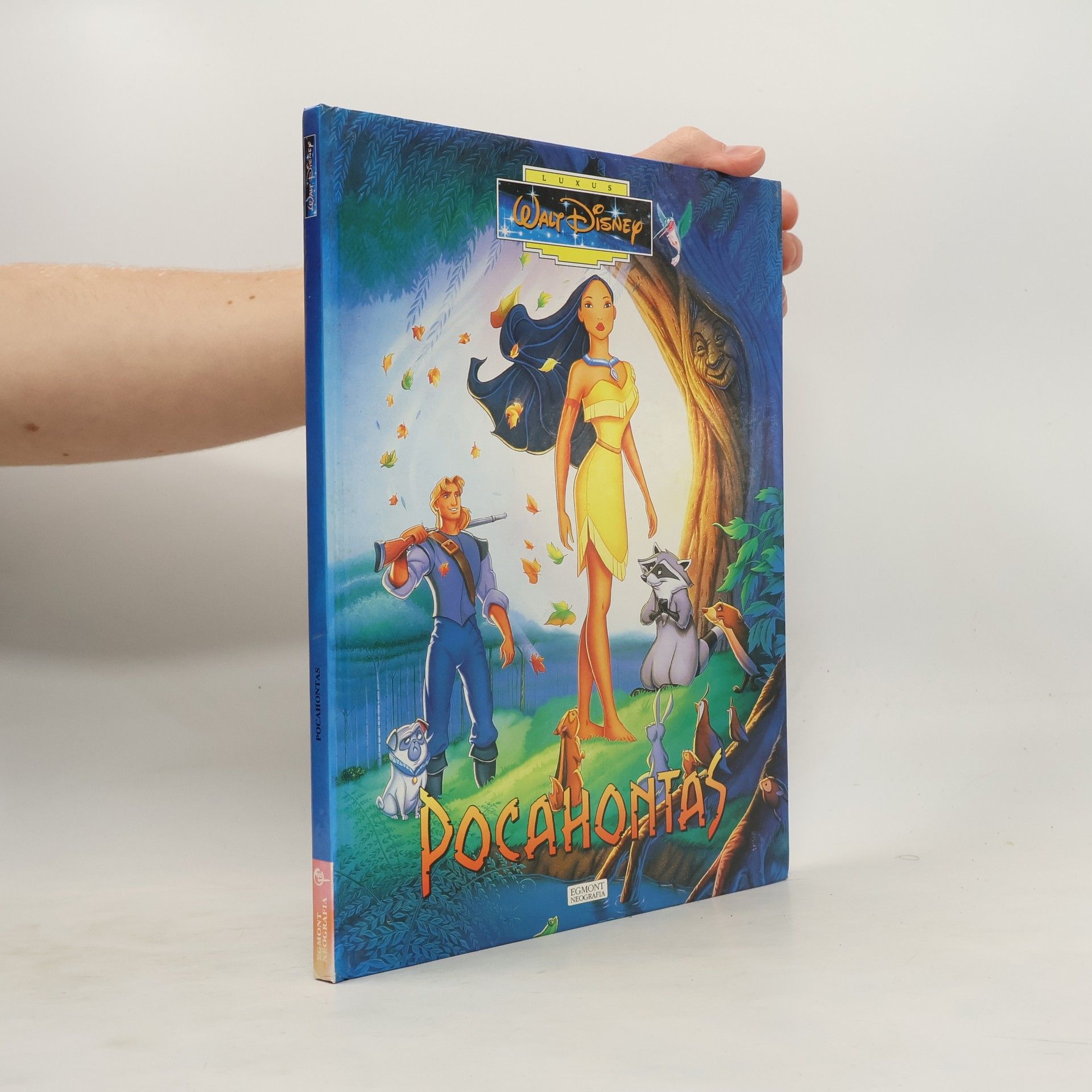 Walt Disney Pocahontas