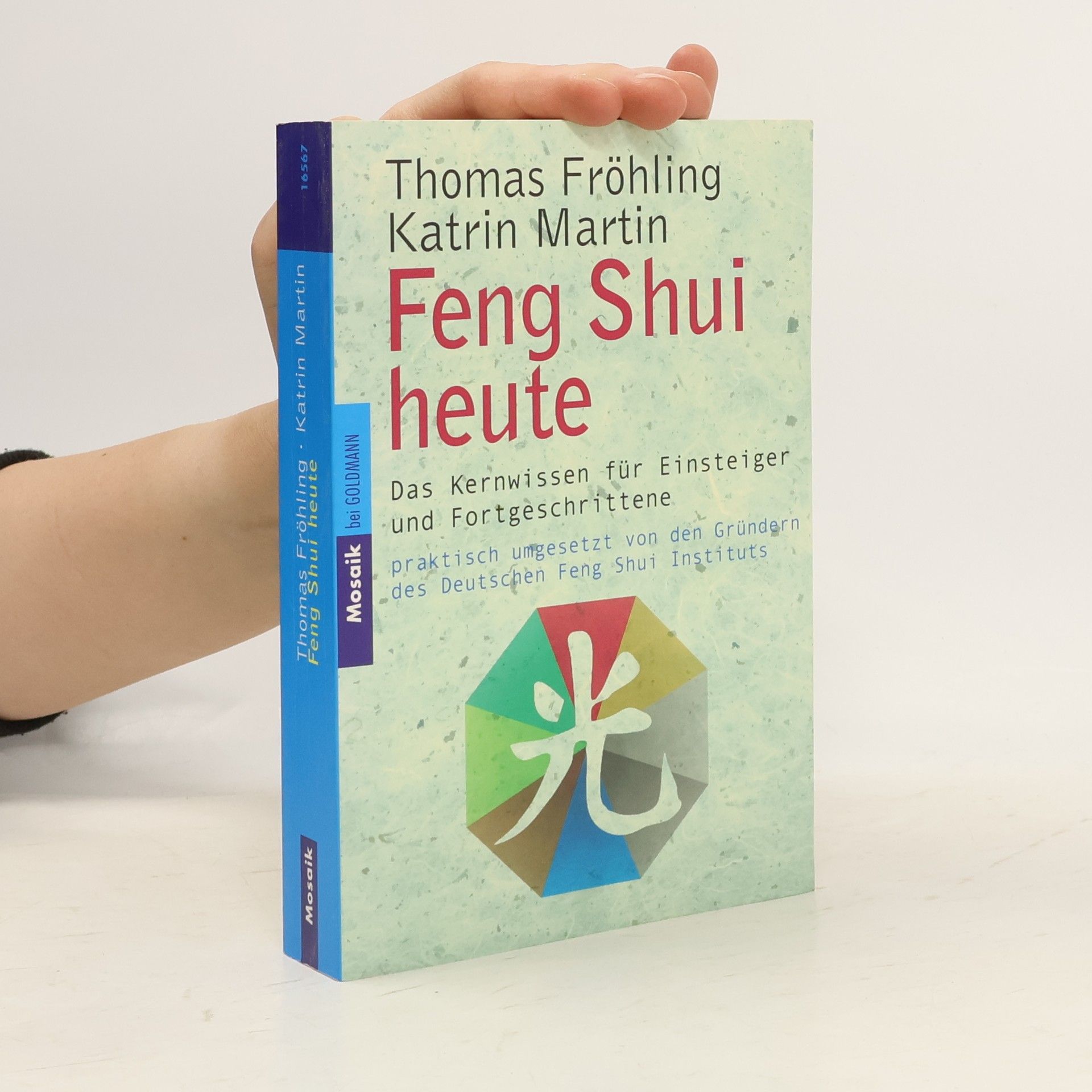 Thomas Fröhling Feng-Shui heute
