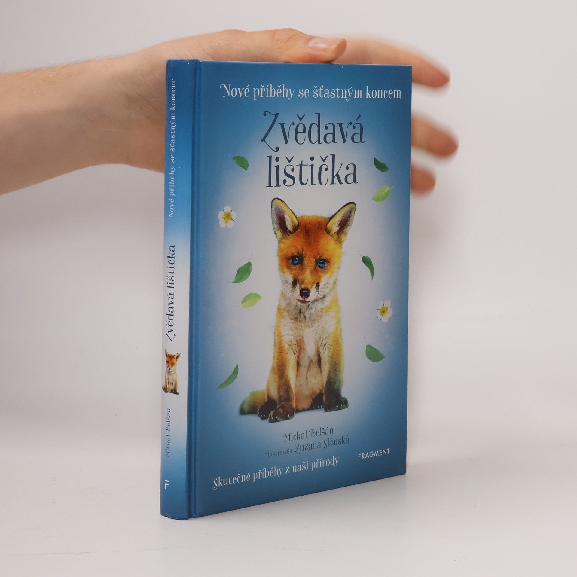 Michal Belšán Zvědavá lištička