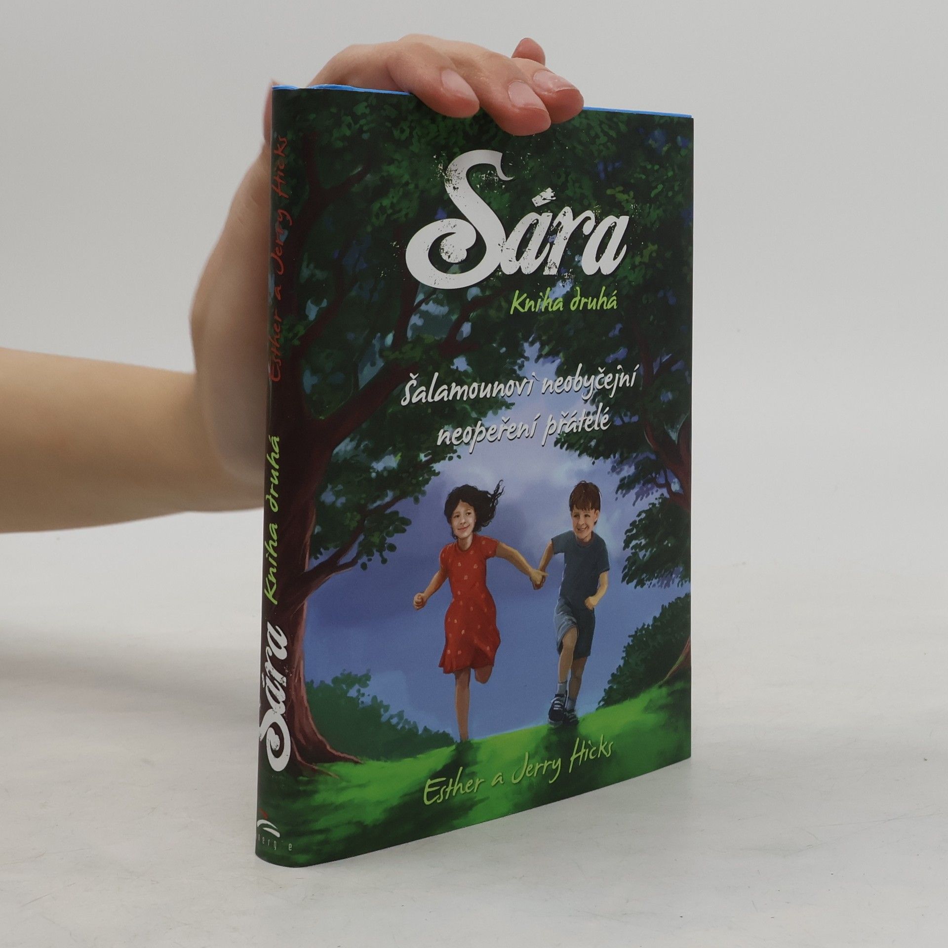 Esther Hicks Sára. Kniha druhá, Šalamounovi neobyčejní neopeření přátelé