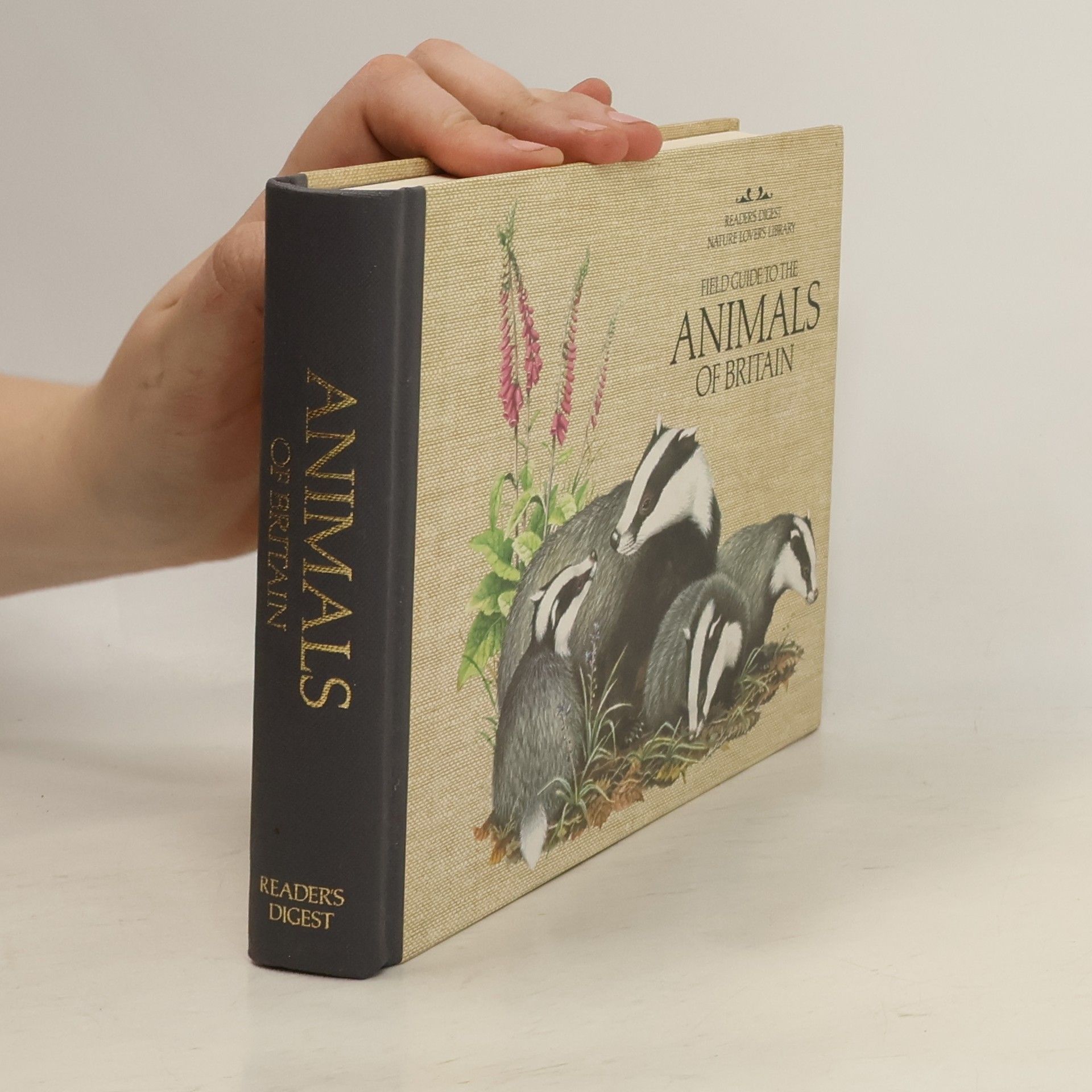 Autorenkollektiv Field guide to the: Animals of Britain