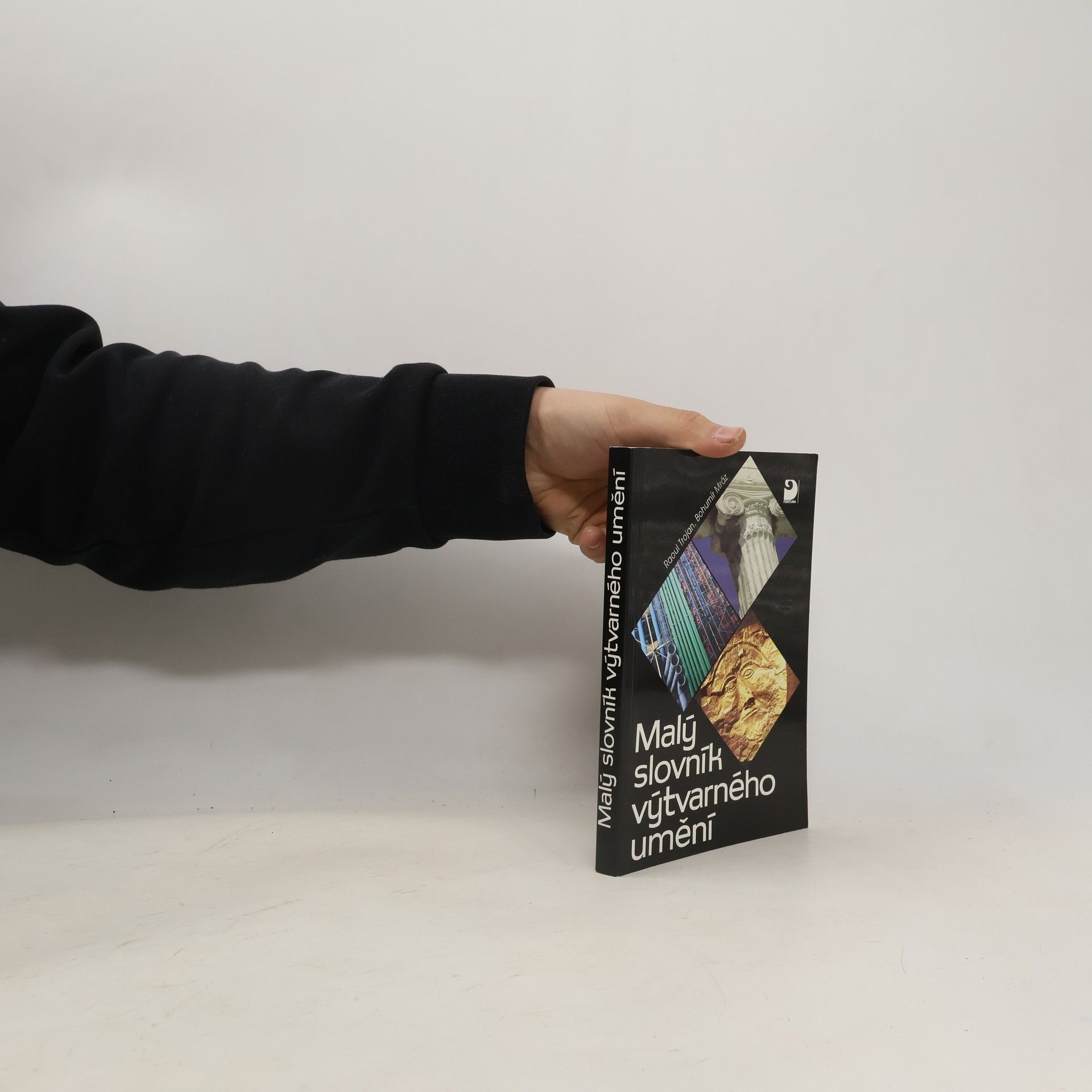 Raul Trojan Malý slovník výtvarného umění