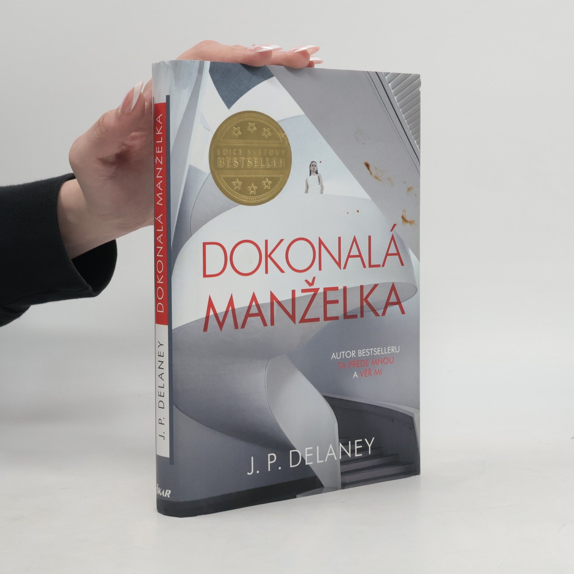 J. P. Delaney Dokonalá manželka