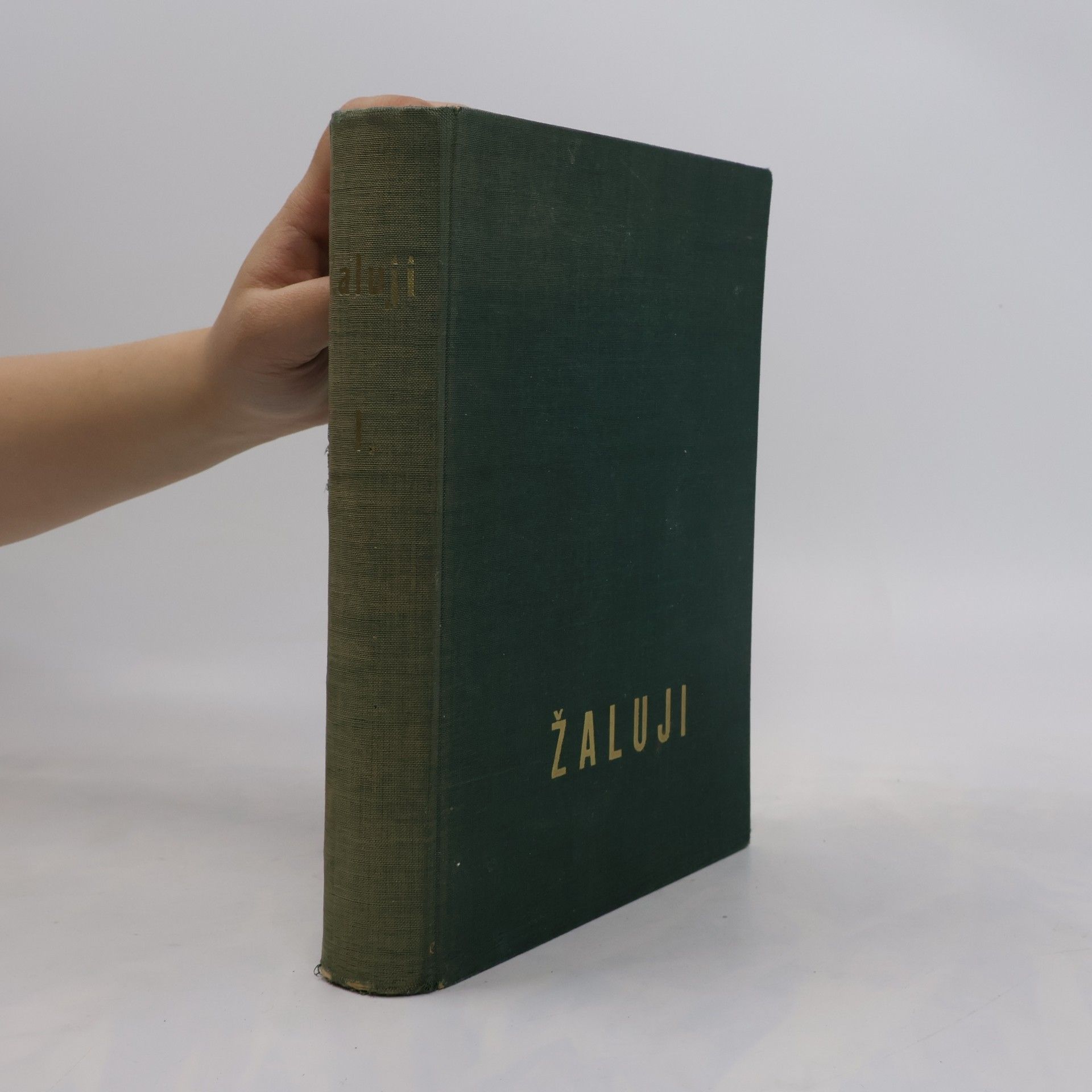 Žaluji. Pankrácká kalvarie, 1. část